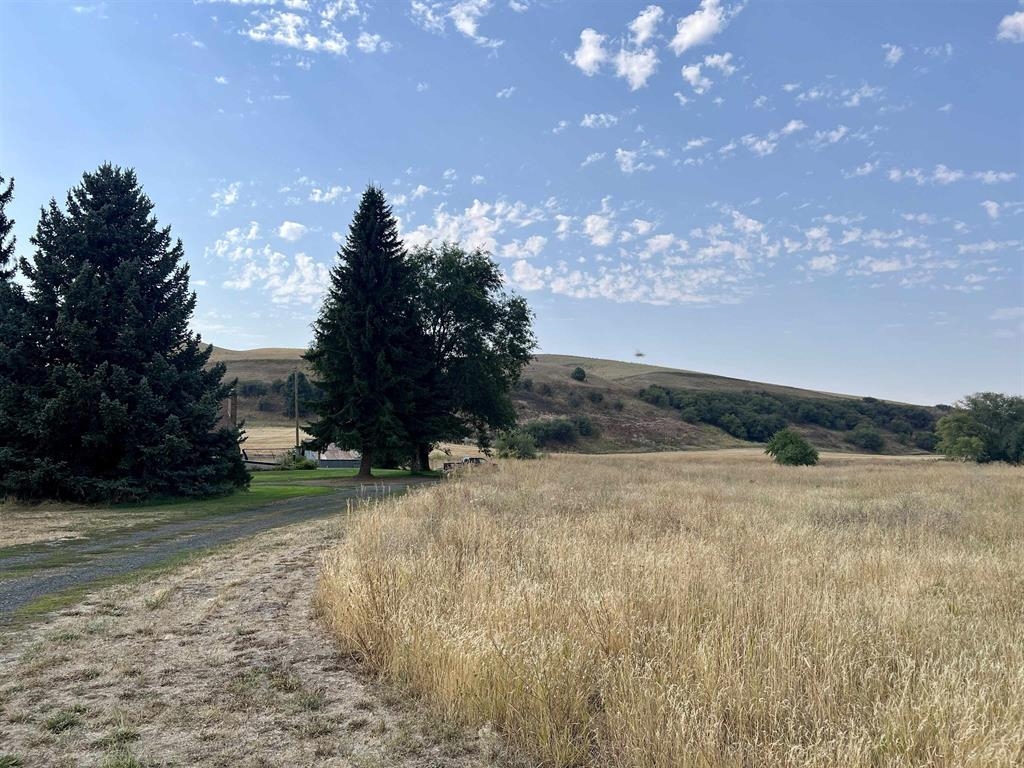 451 Sunset Rd - Photo 36