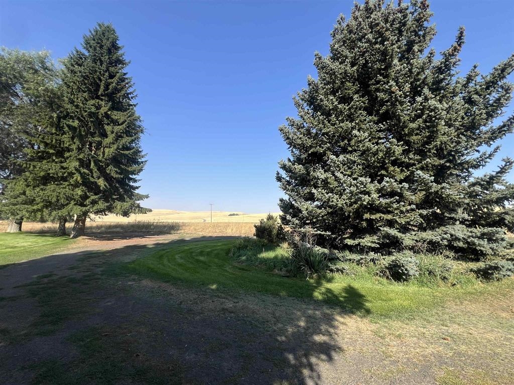 451 Sunset Rd - Photo 39
