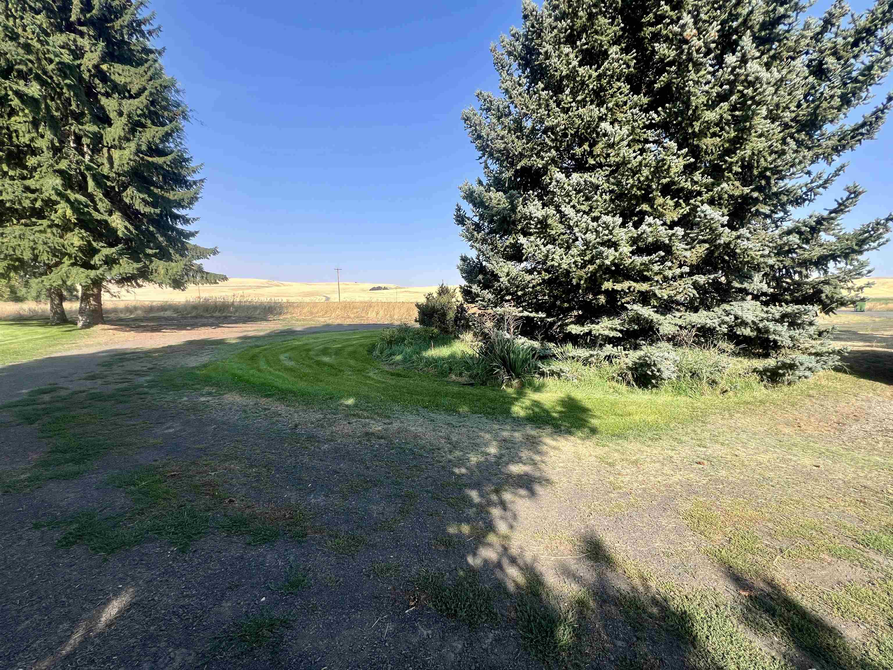 451 Sunset Rd - Photo 5