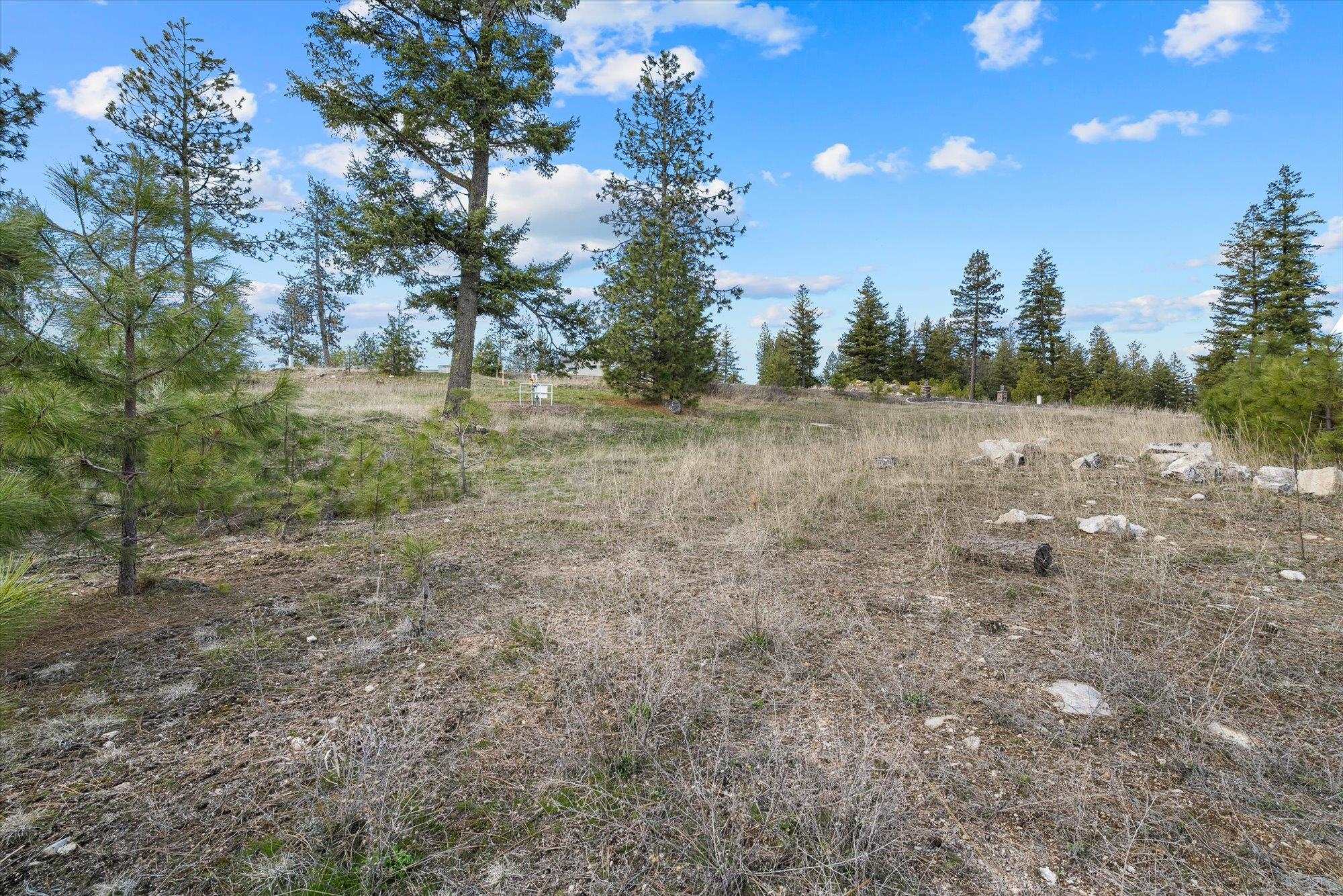 5904 W Hayden Ln - Photo 6