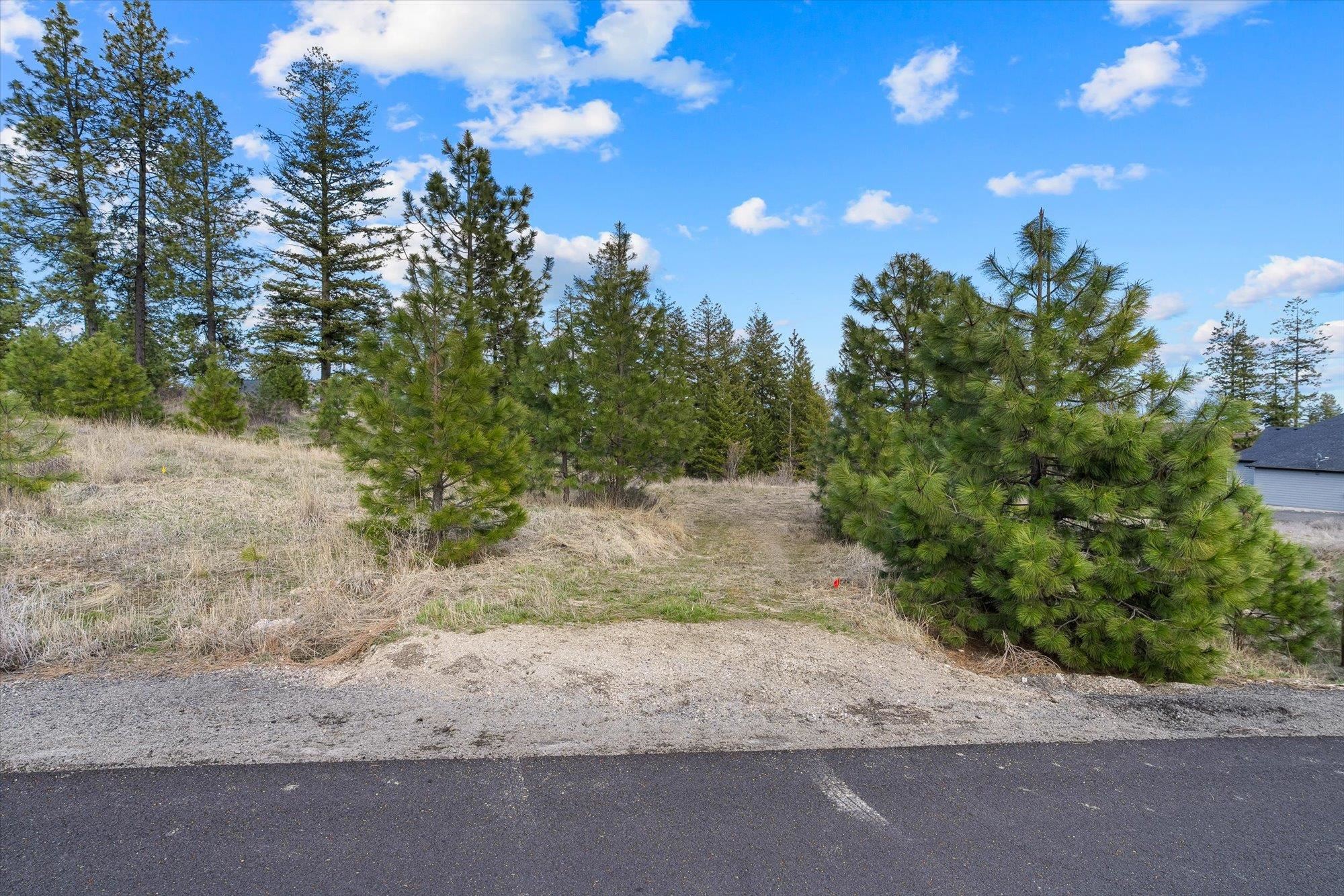 5904 W Hayden Ln - Photo 7
