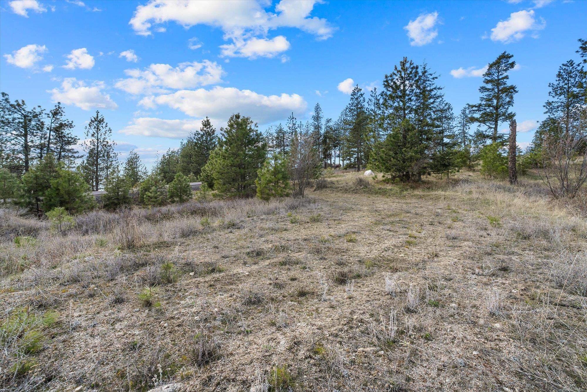 5904 W Hayden Ln - Photo 9