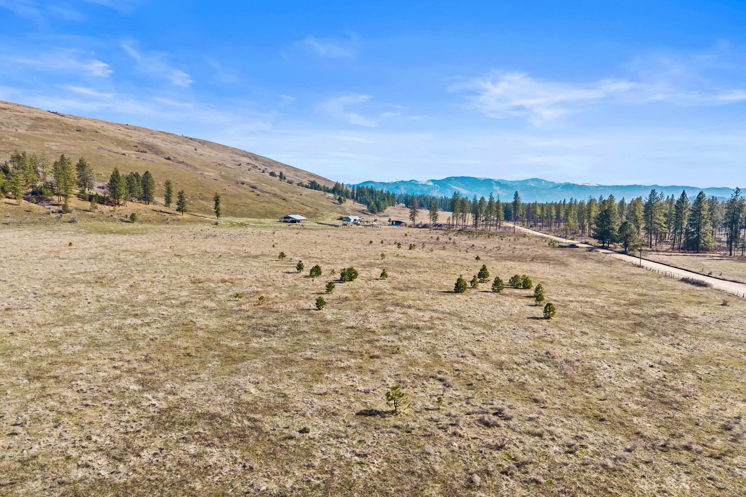 3031 Hall Creek Rd - Photo 32