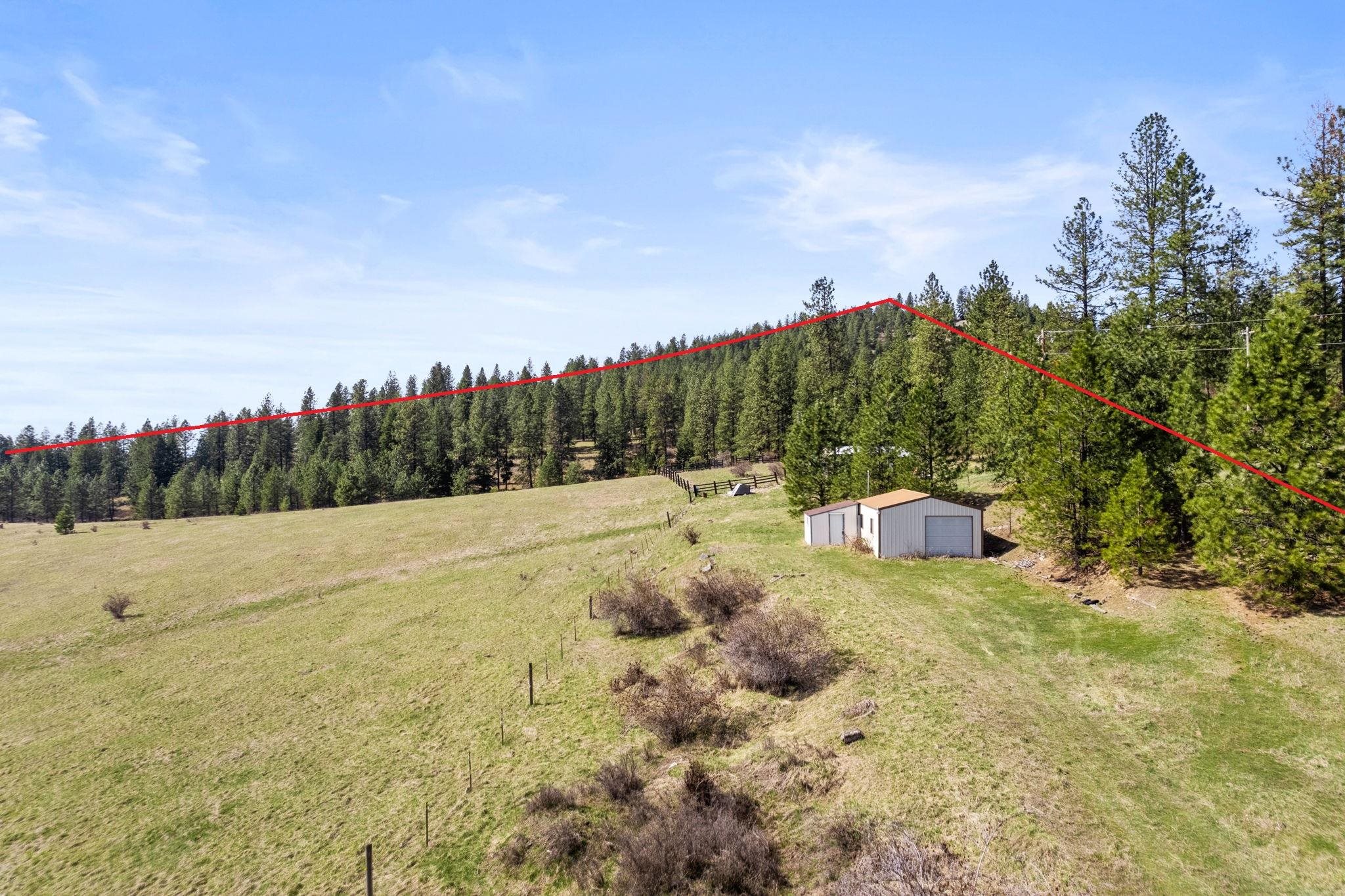 15809 N Scribner Branch Rd - Photo 2