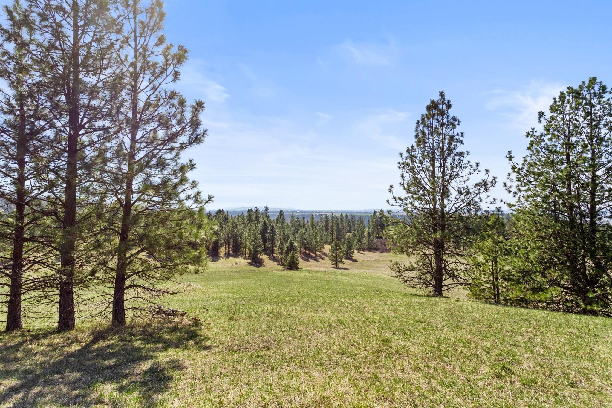 15809 N Scribner Branch Rd - Photo 15