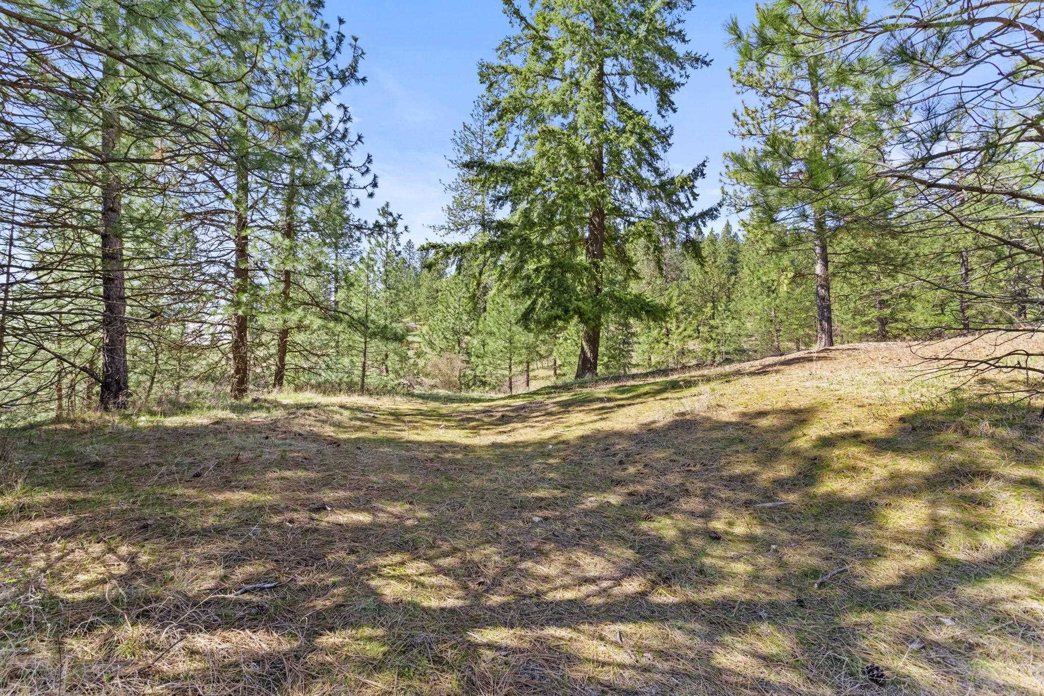 15809 N Scribner Branch Rd - Photo 17