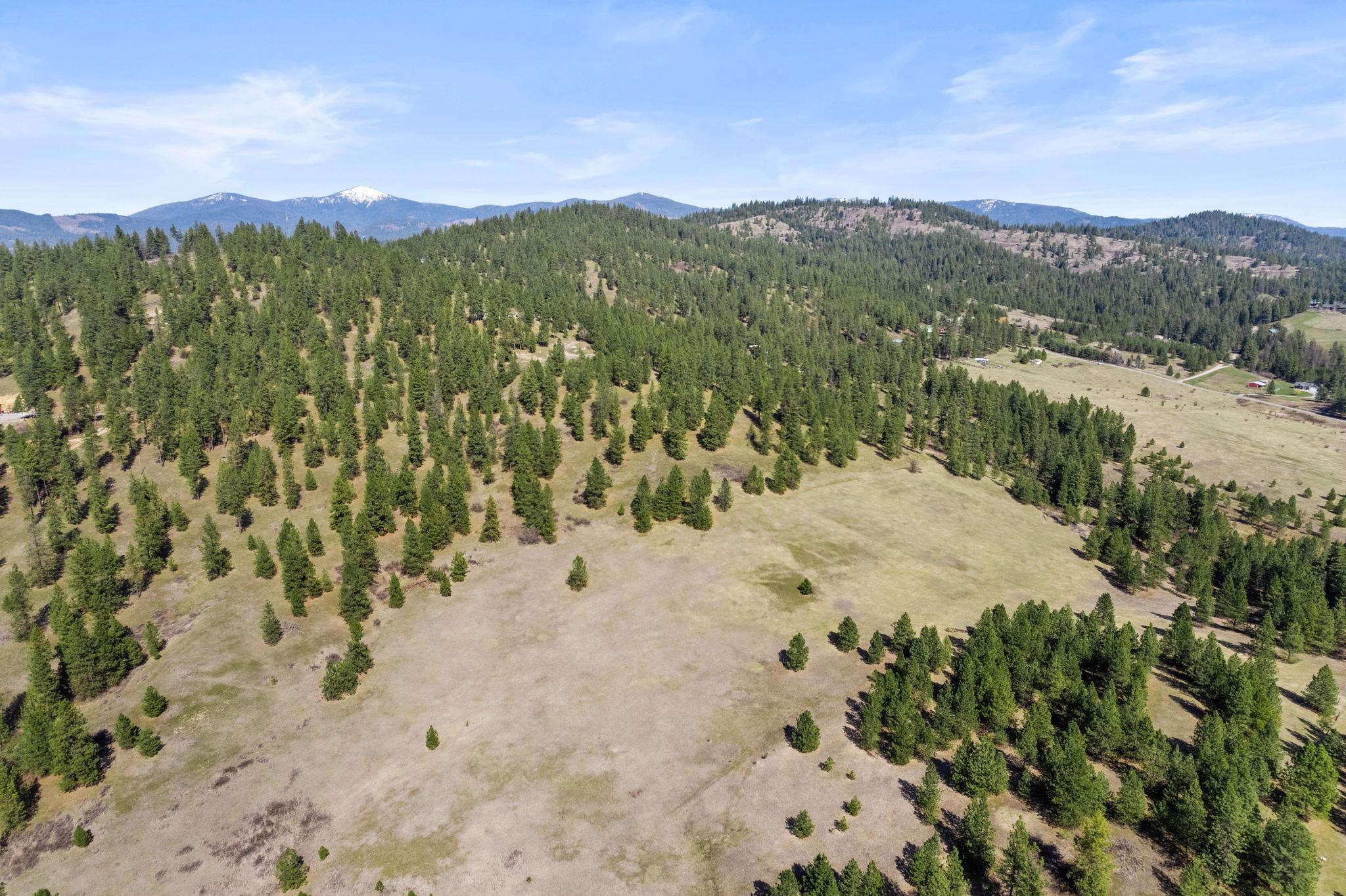 15809 N Scribner Branch Rd - Photo 19