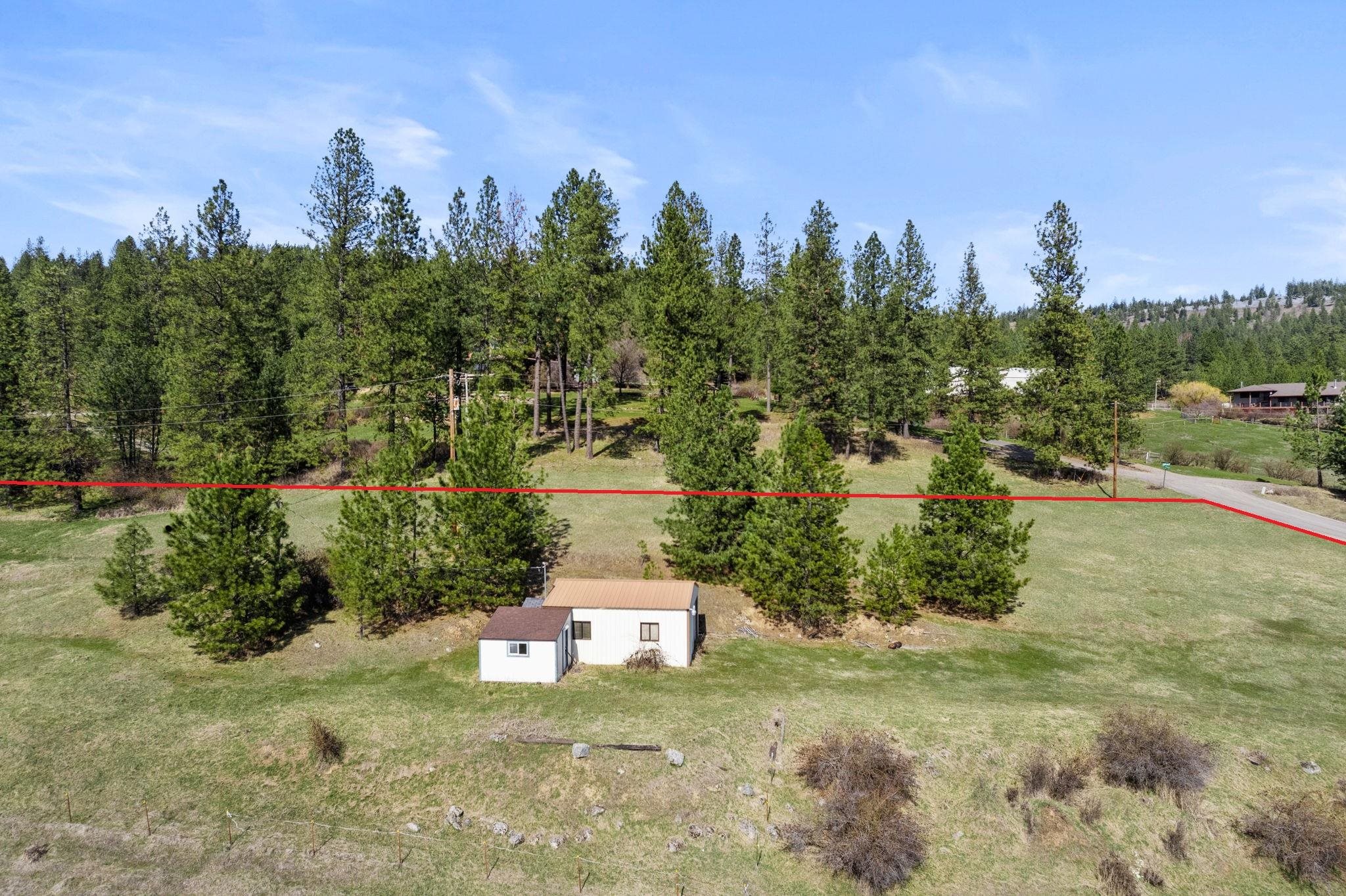15809 N Scribner Branch Rd - Photo 3