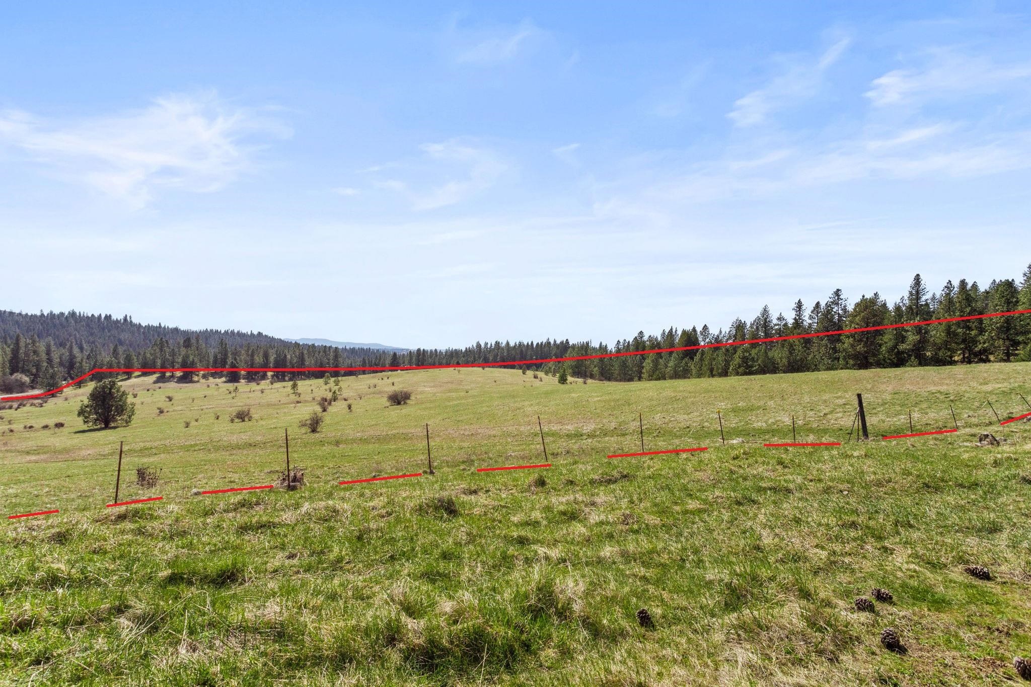 15809 N Scribner Branch Rd - Photo 4