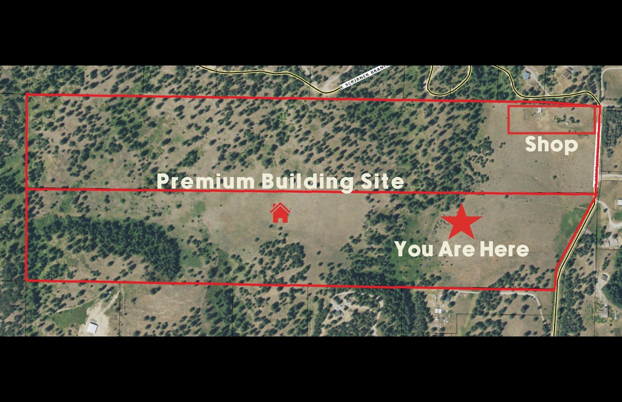15809 N Scribner Branch Rd - Photo 5