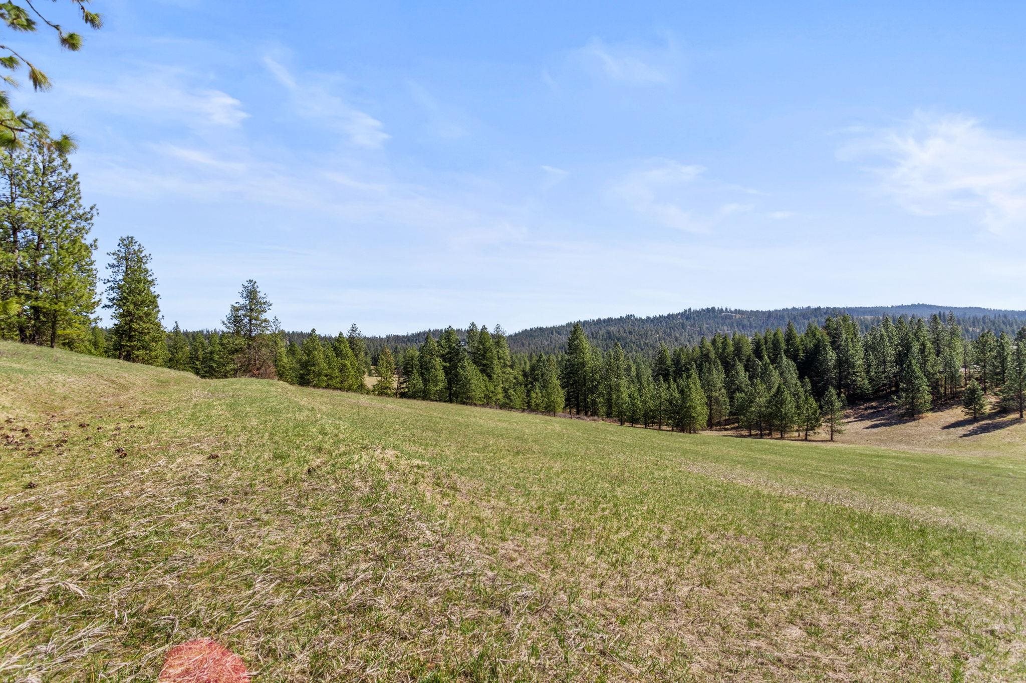 15809 N Scribner Branch Rd - Photo 6