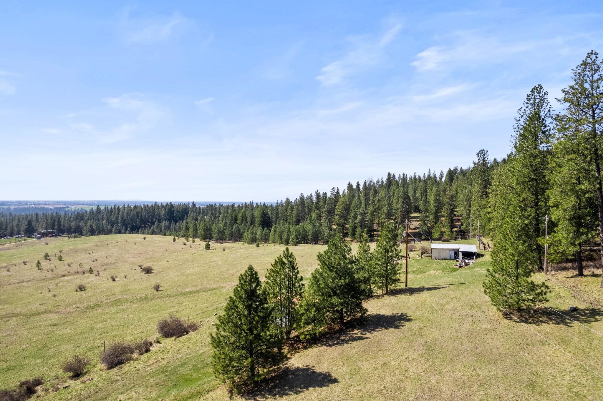 15809 N Scribner Branch Rd - Photo 8