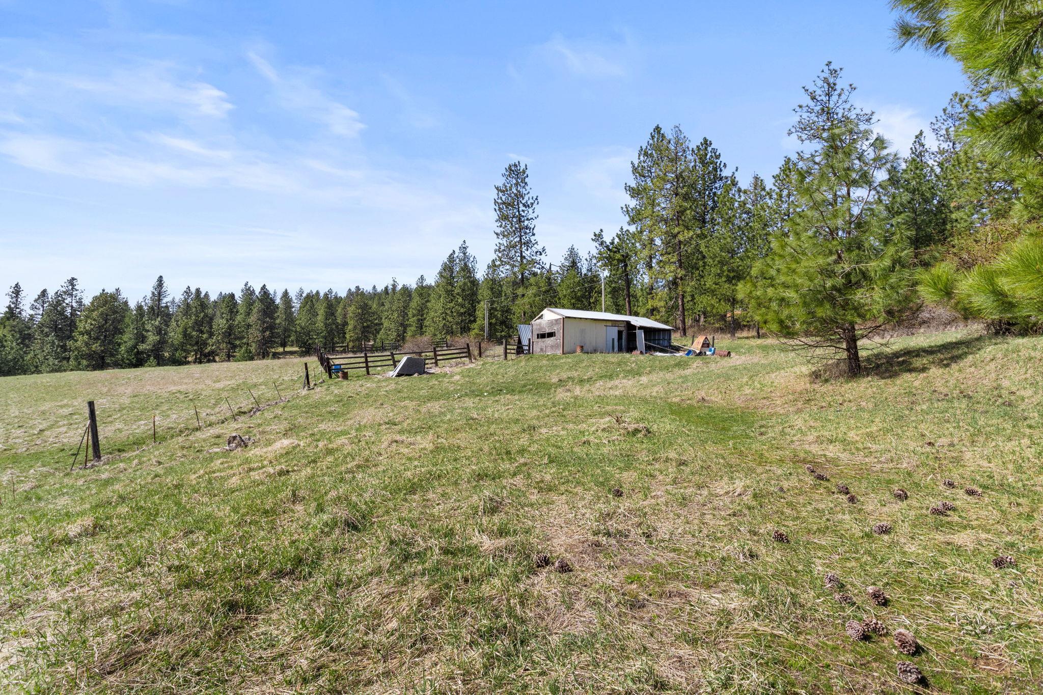 15809 N Scribner Branch Rd - Photo 10