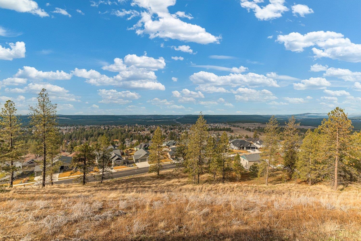 10615 N Paiute Dr - Photo 45