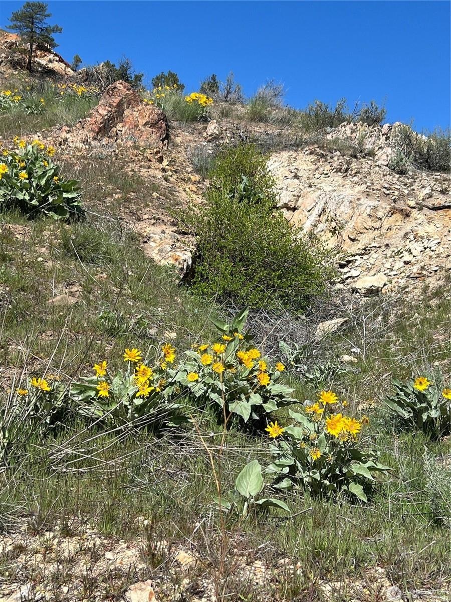 NNA Soap Lake Rd - Photo 1