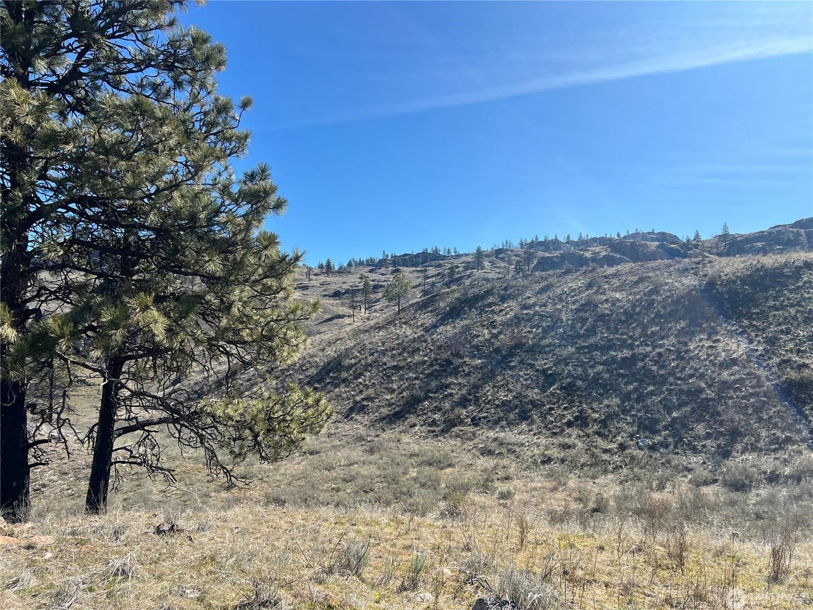 NNA Soap Lake Rd - Photo 2