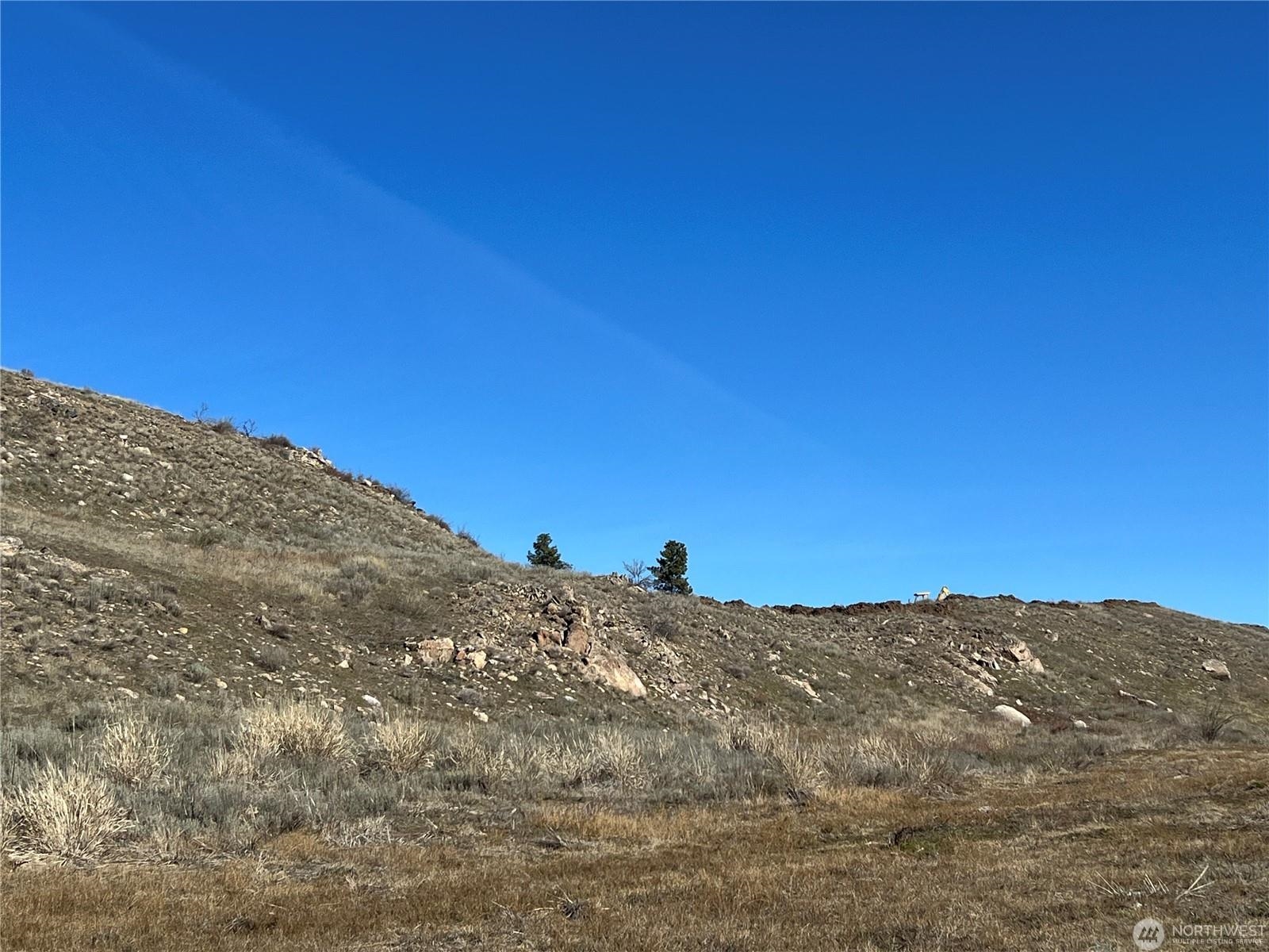 NNA Soap Lake Rd - Photo 11