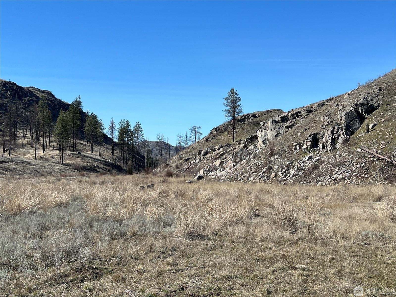 NNA Soap Lake Rd - Photo 12