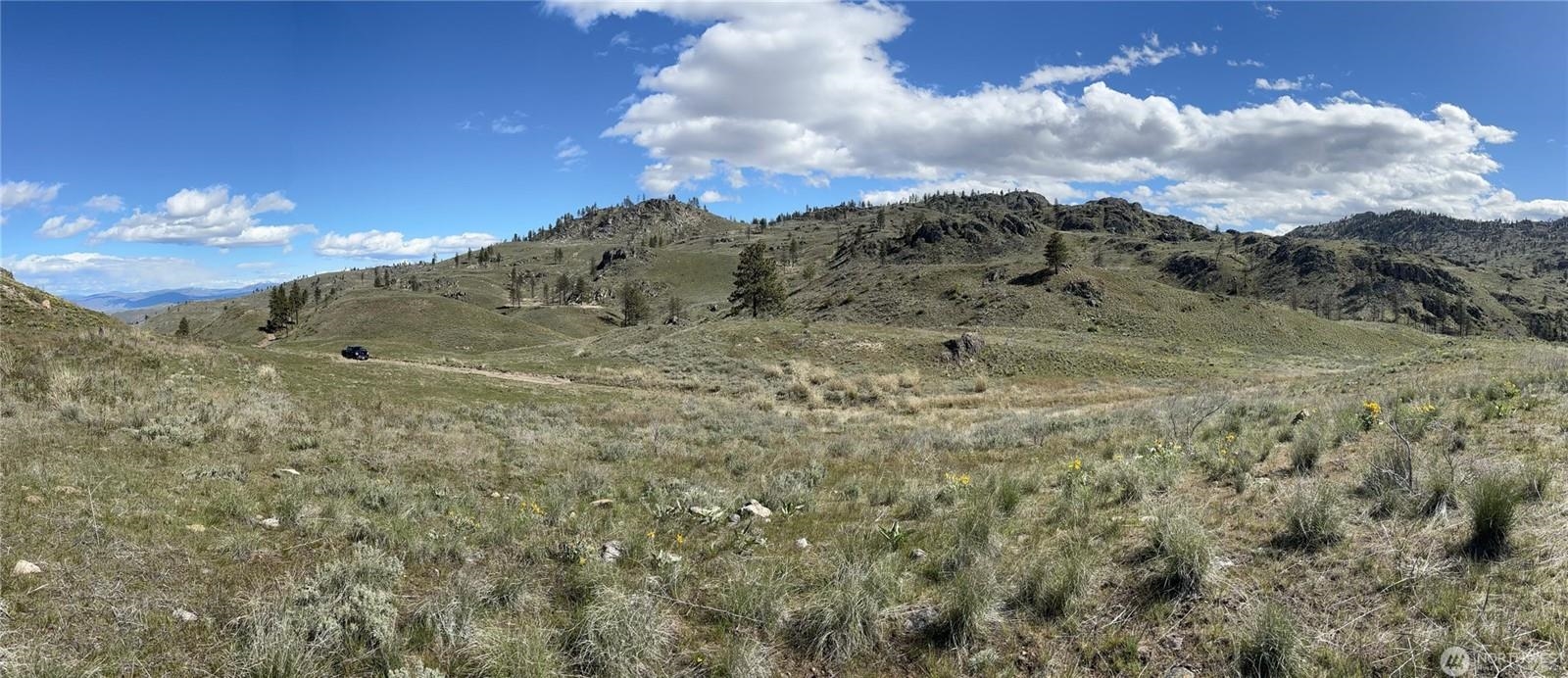 NNA Soap Lake Rd - Photo 3