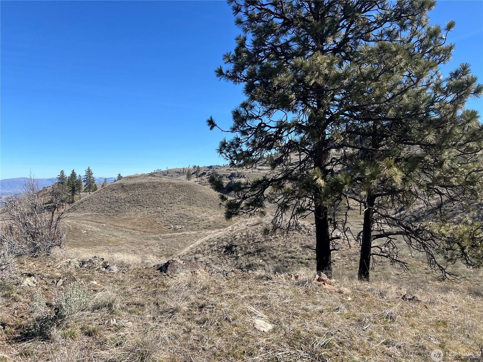 NNA Soap Lake Rd - Photo 4