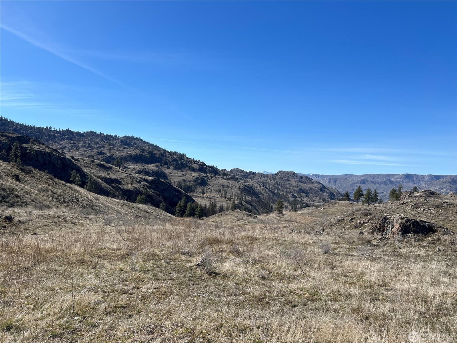 NNA Soap Lake Rd - Photo 5