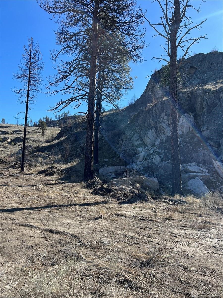 NNA Soap Lake Rd - Photo 6