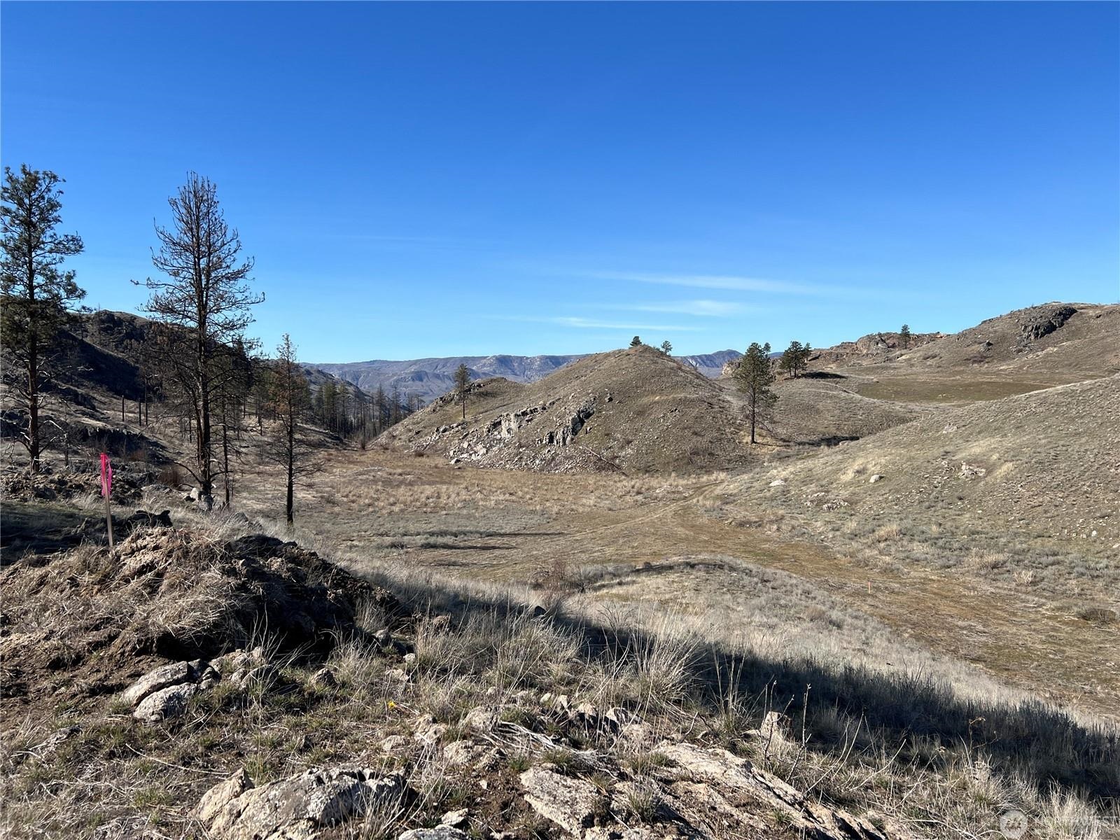 NNA Soap Lake Rd - Photo 7
