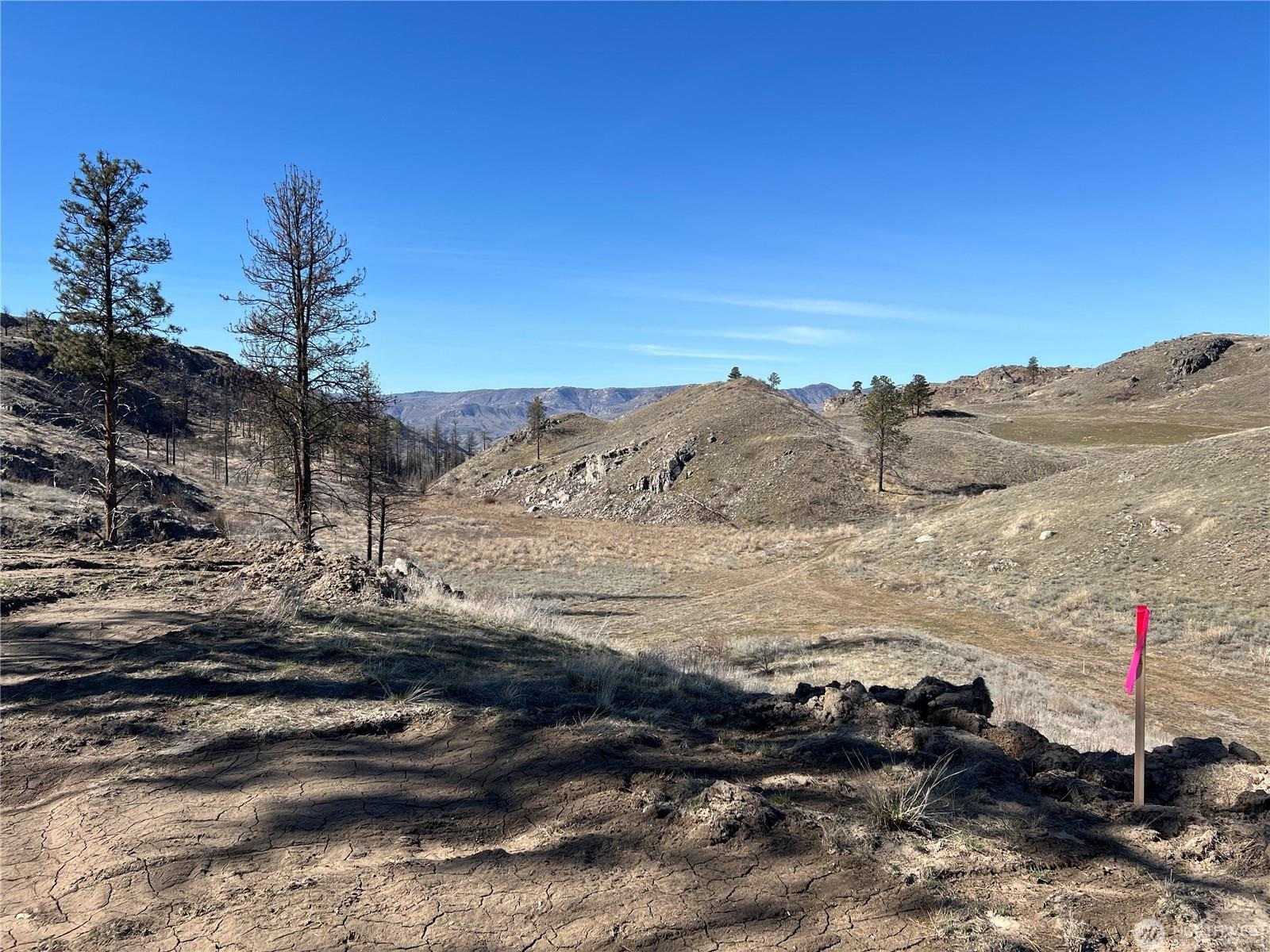 NNA Soap Lake Rd - Photo 9