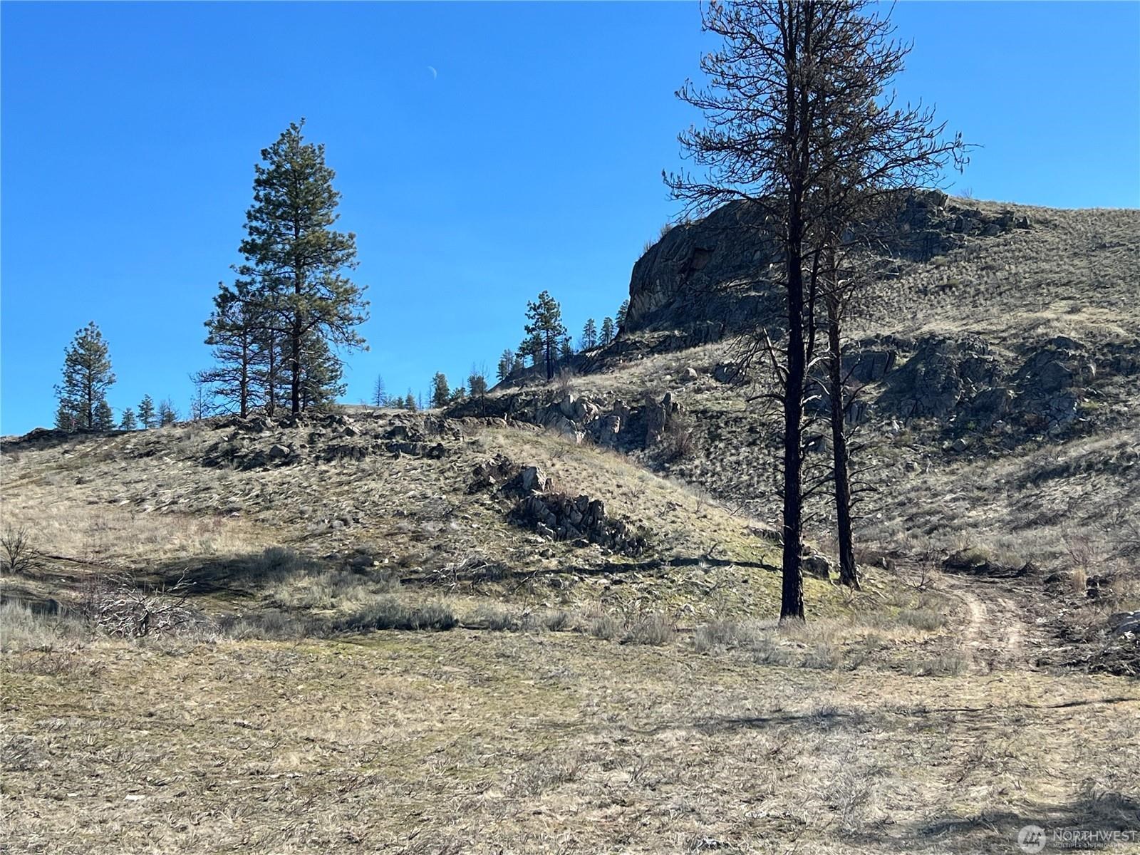 NNA Soap Lake Rd - Photo 10