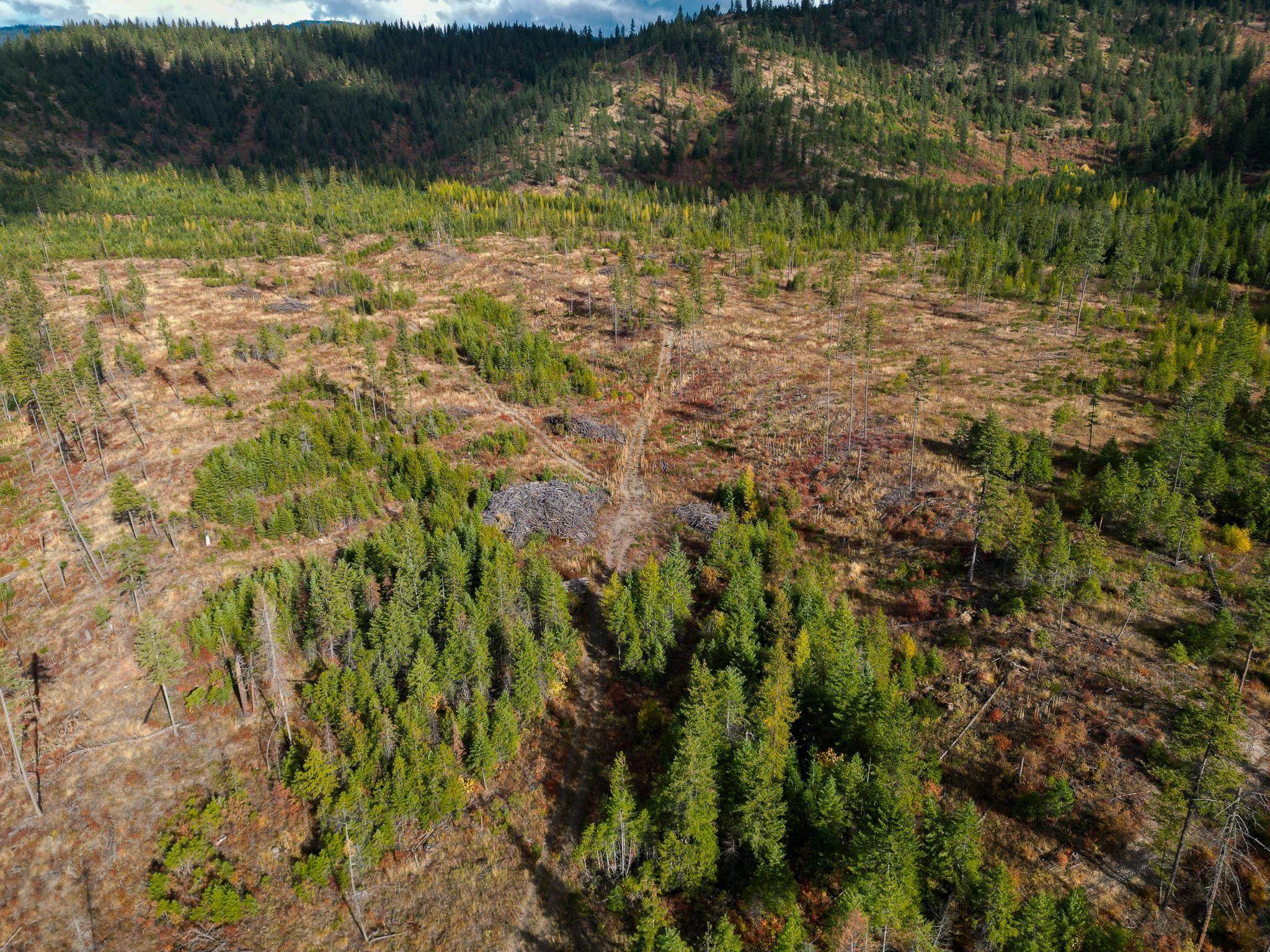 4684 Grouse Creek Rd - Photo 1