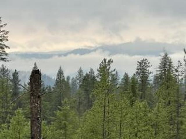 4684 Grouse Creek Rd - Photo 2