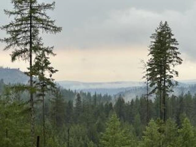 4684 Grouse Creek Rd - Photo 3