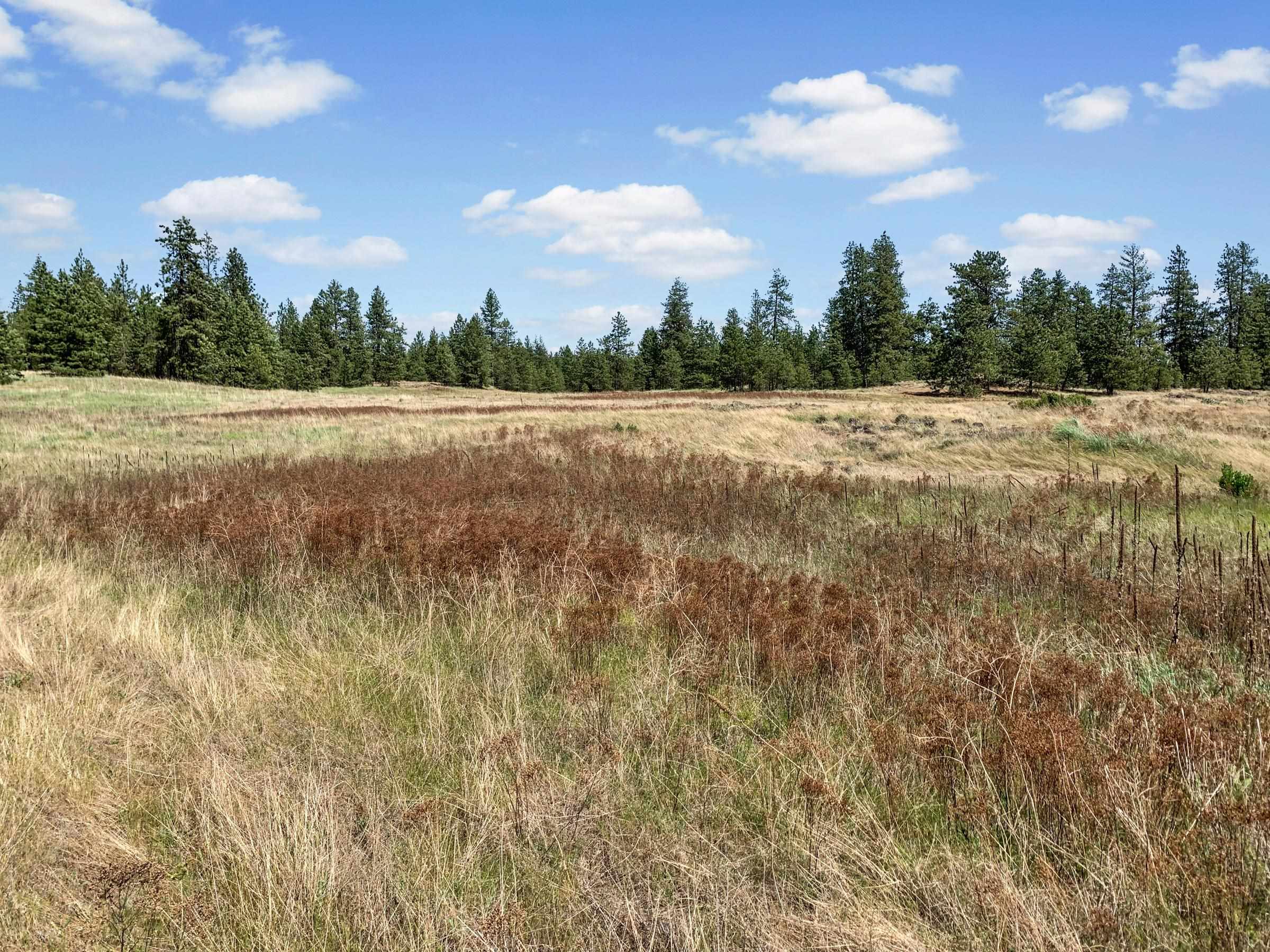 00B N Ritchey Rd - Photo 11