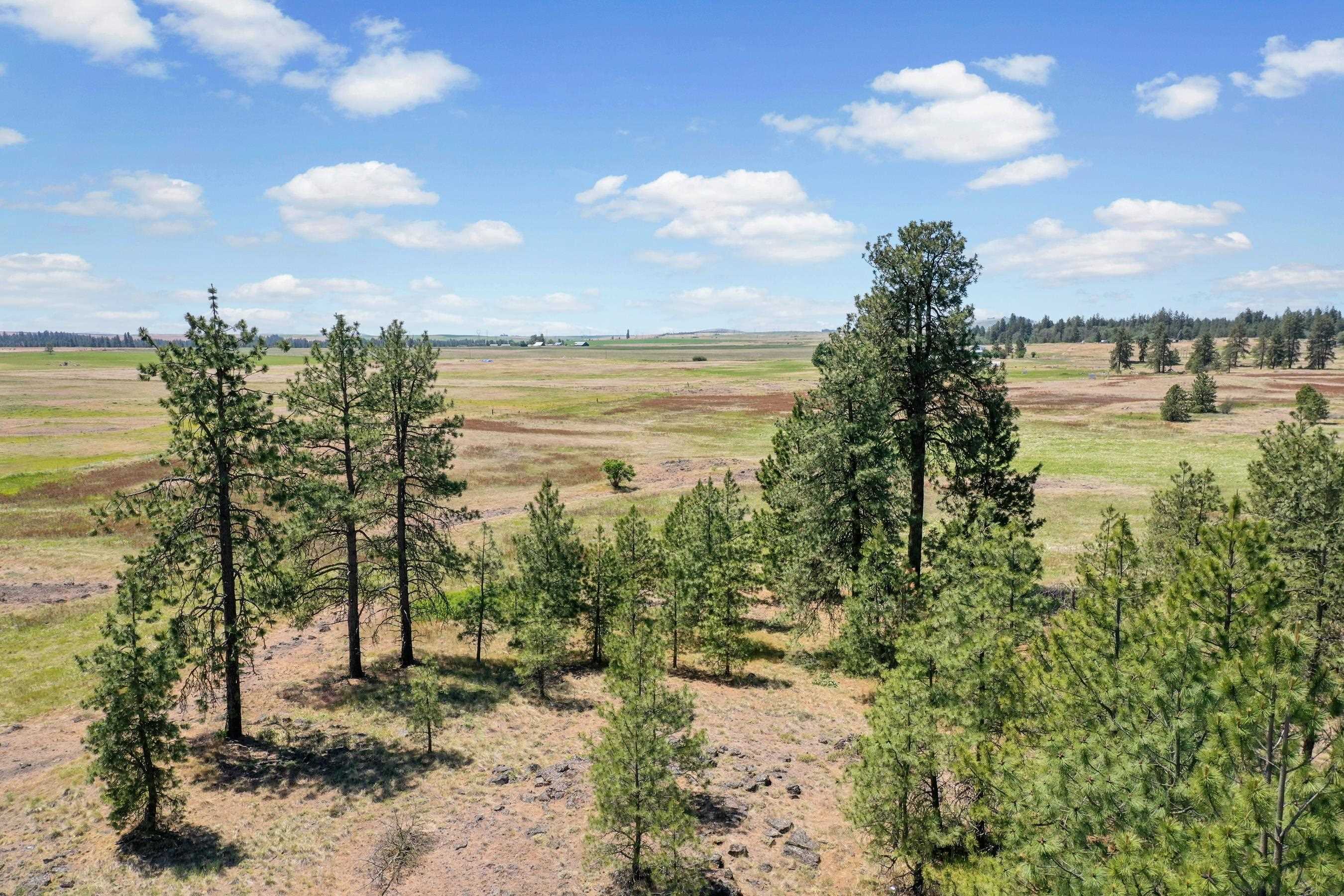 00B N Ritchey Rd - Photo 12