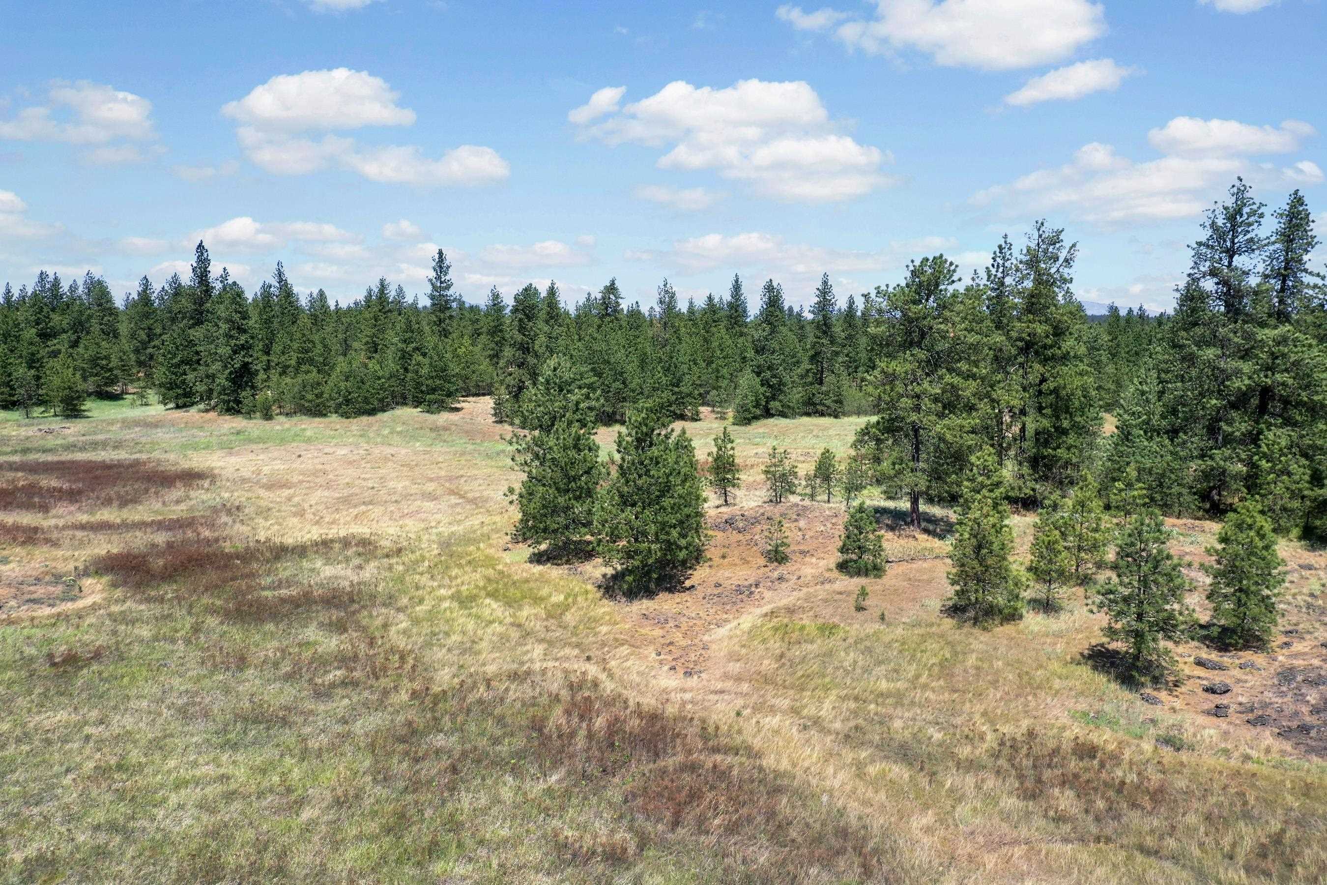 00B N Ritchey Rd - Photo 13