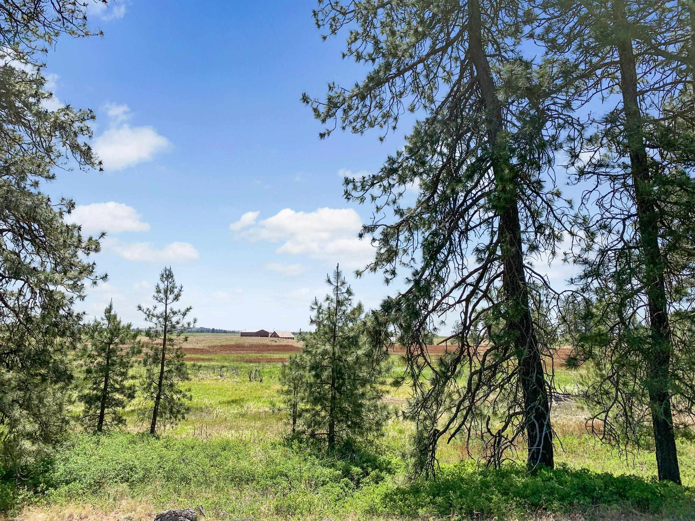 00B N Ritchey Rd - Photo 19