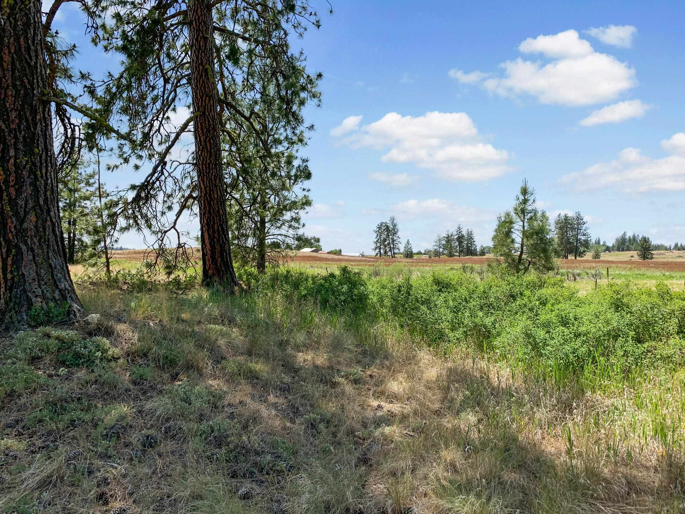 00B N Ritchey Rd - Photo 21