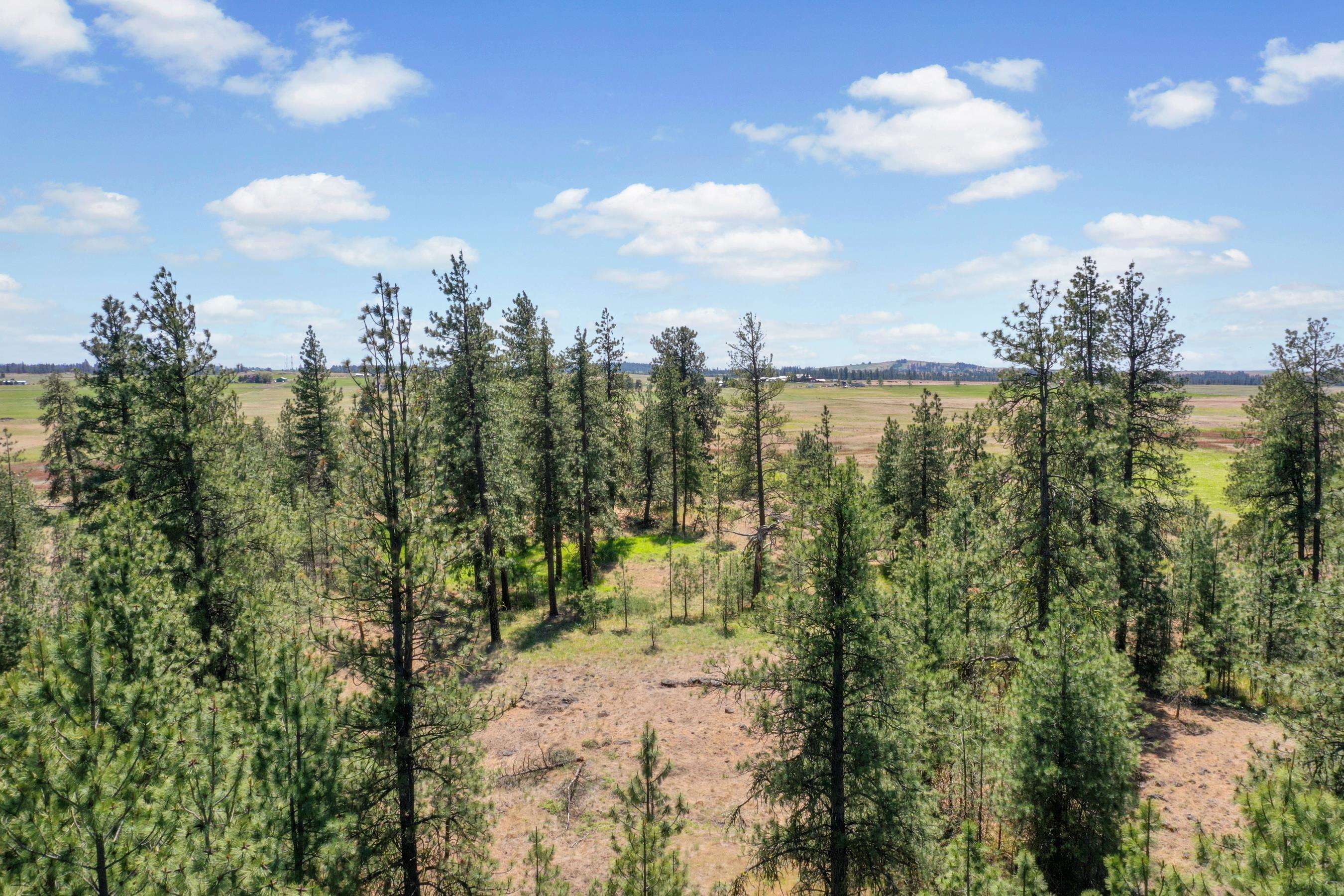 00B N Ritchey Rd - Photo 8
