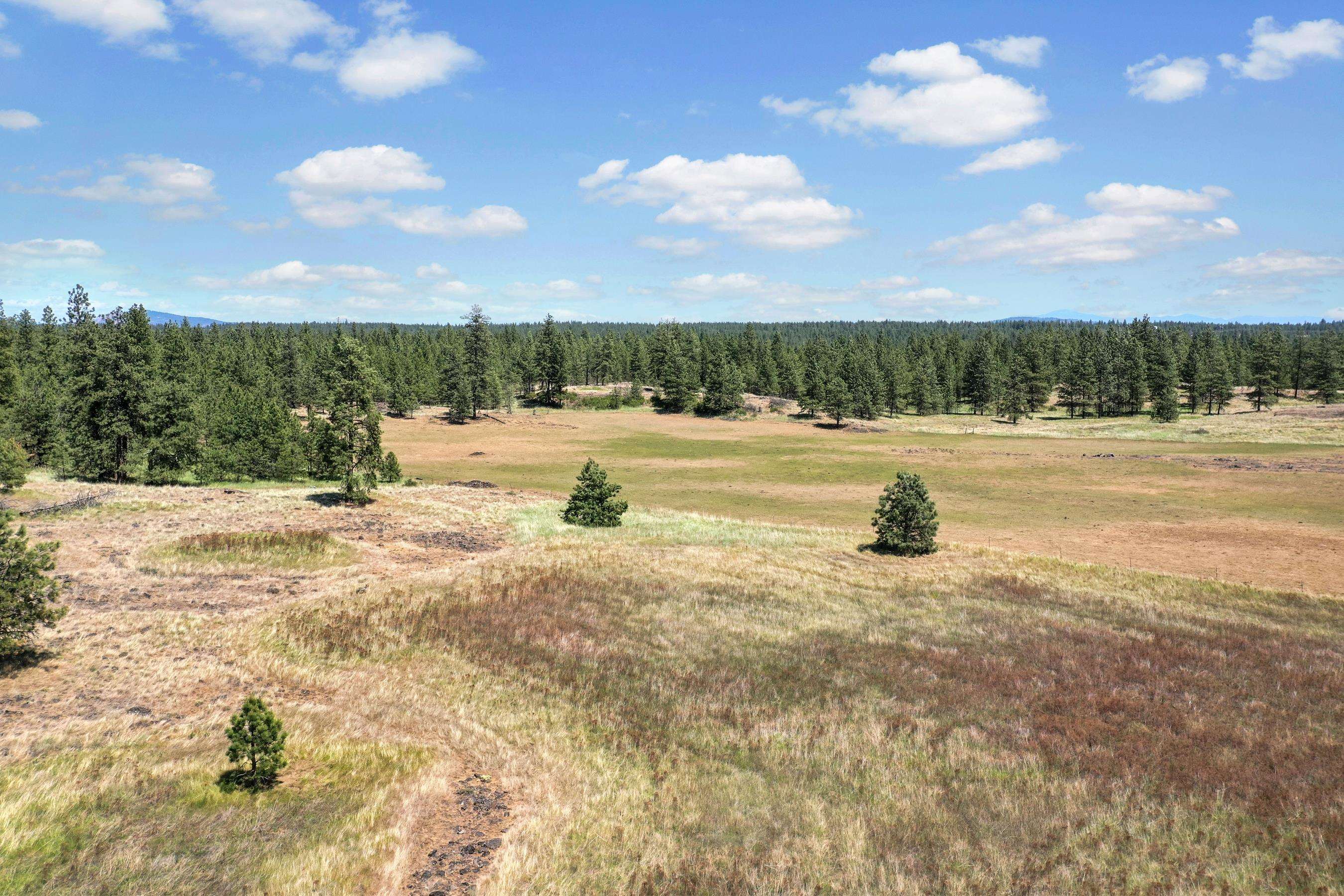 00B N Ritchey Rd - Photo 9