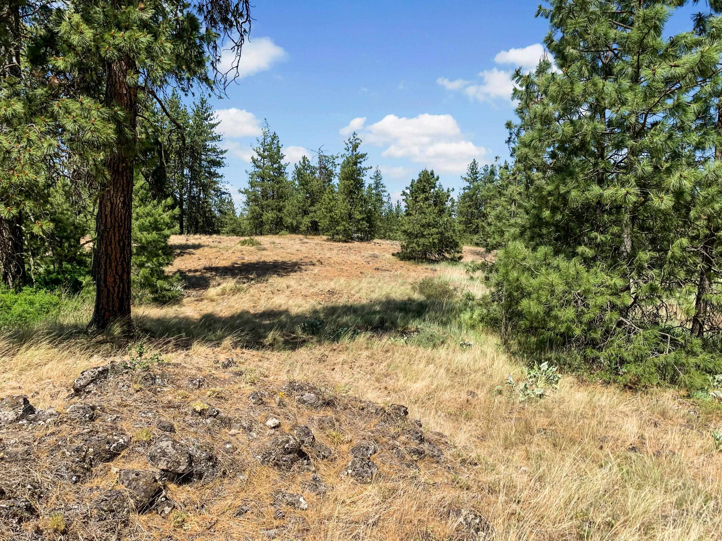 00B N Ritchey Rd - Photo 10