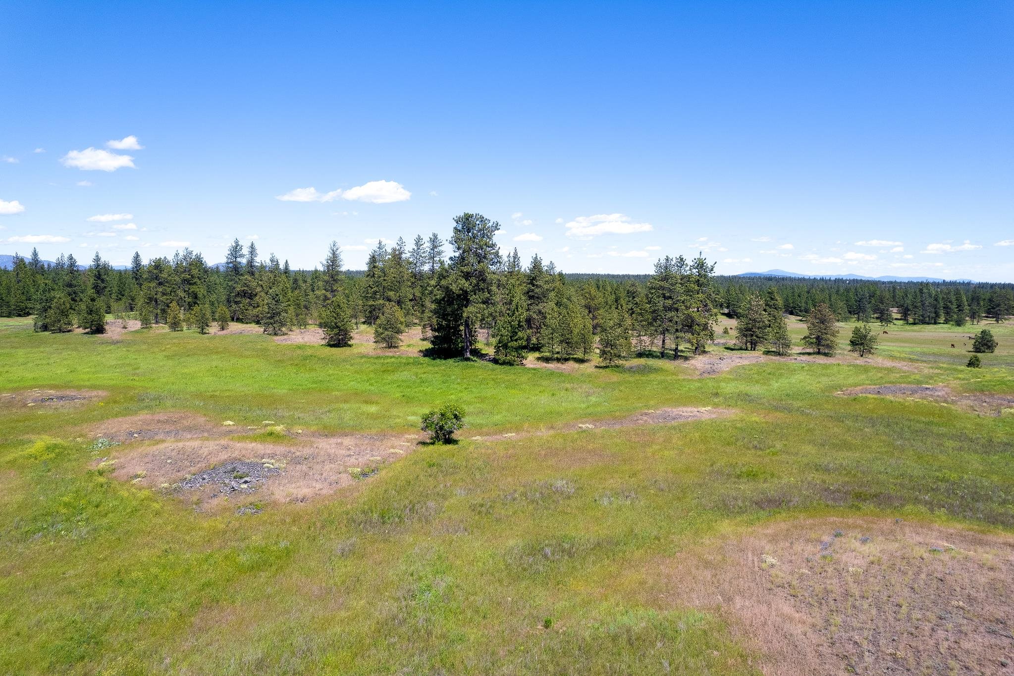 00C N Ritchey Rd - Photo 18