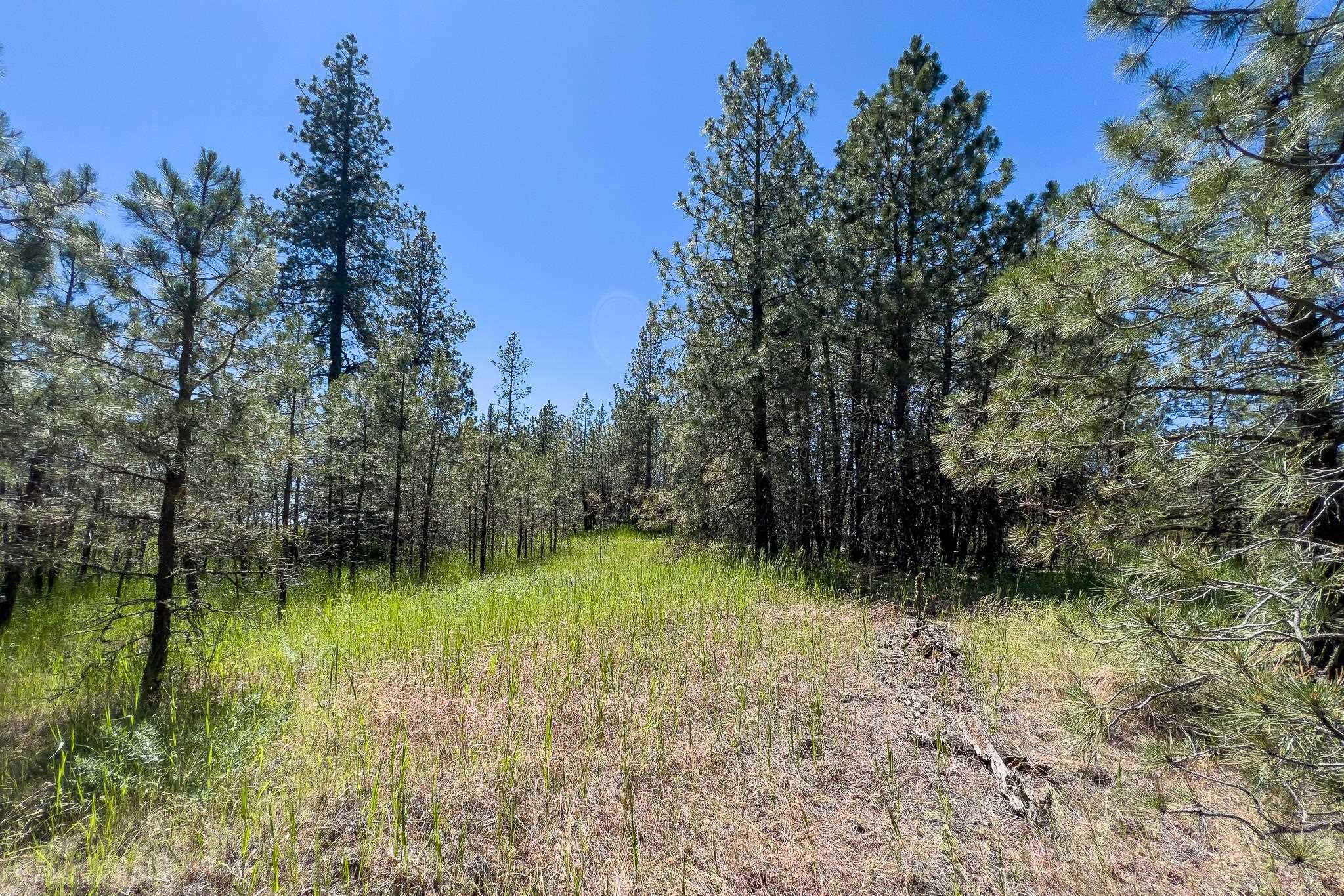 00C N Ritchey Rd - Photo 22