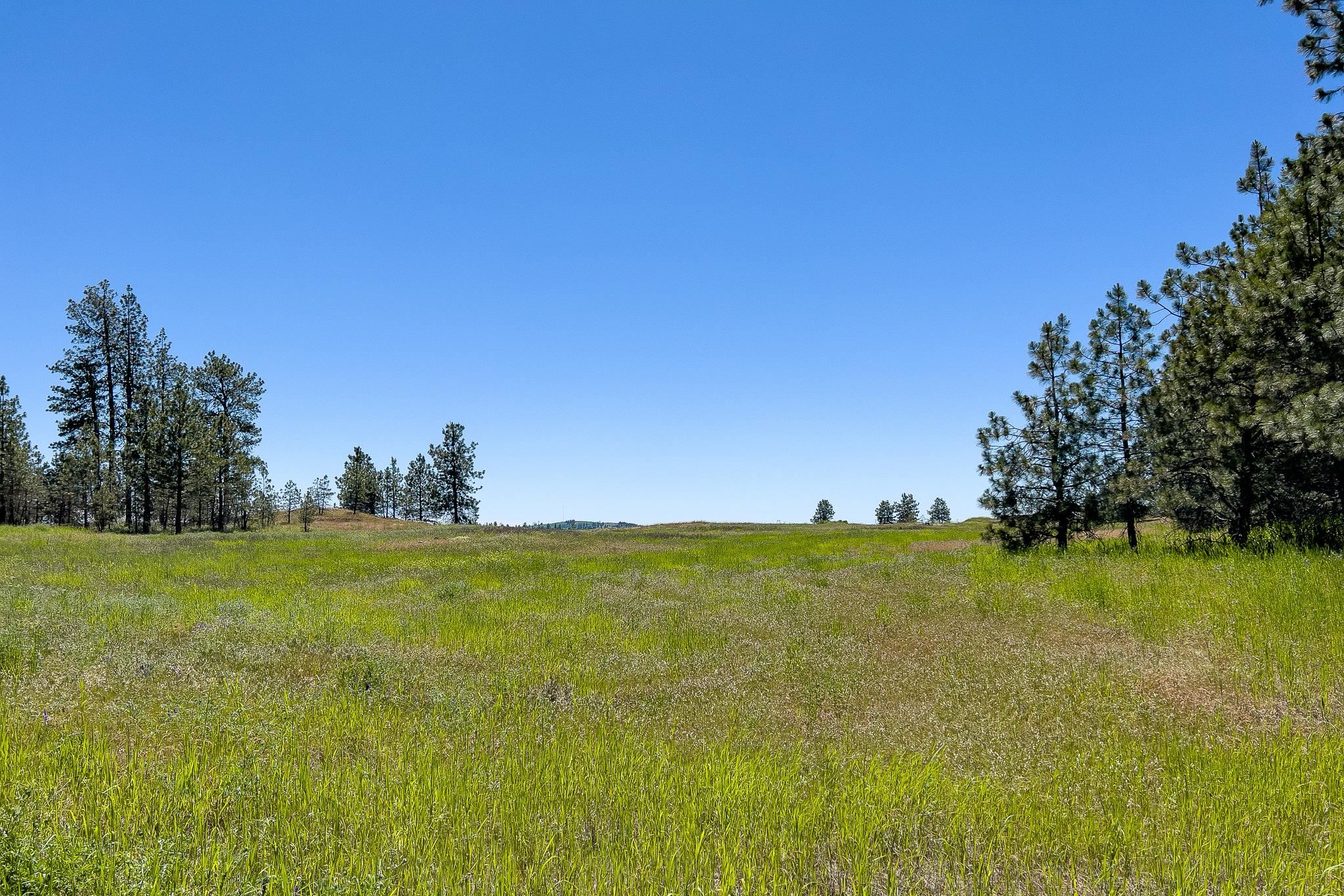 00C N Ritchey Rd - Photo 25