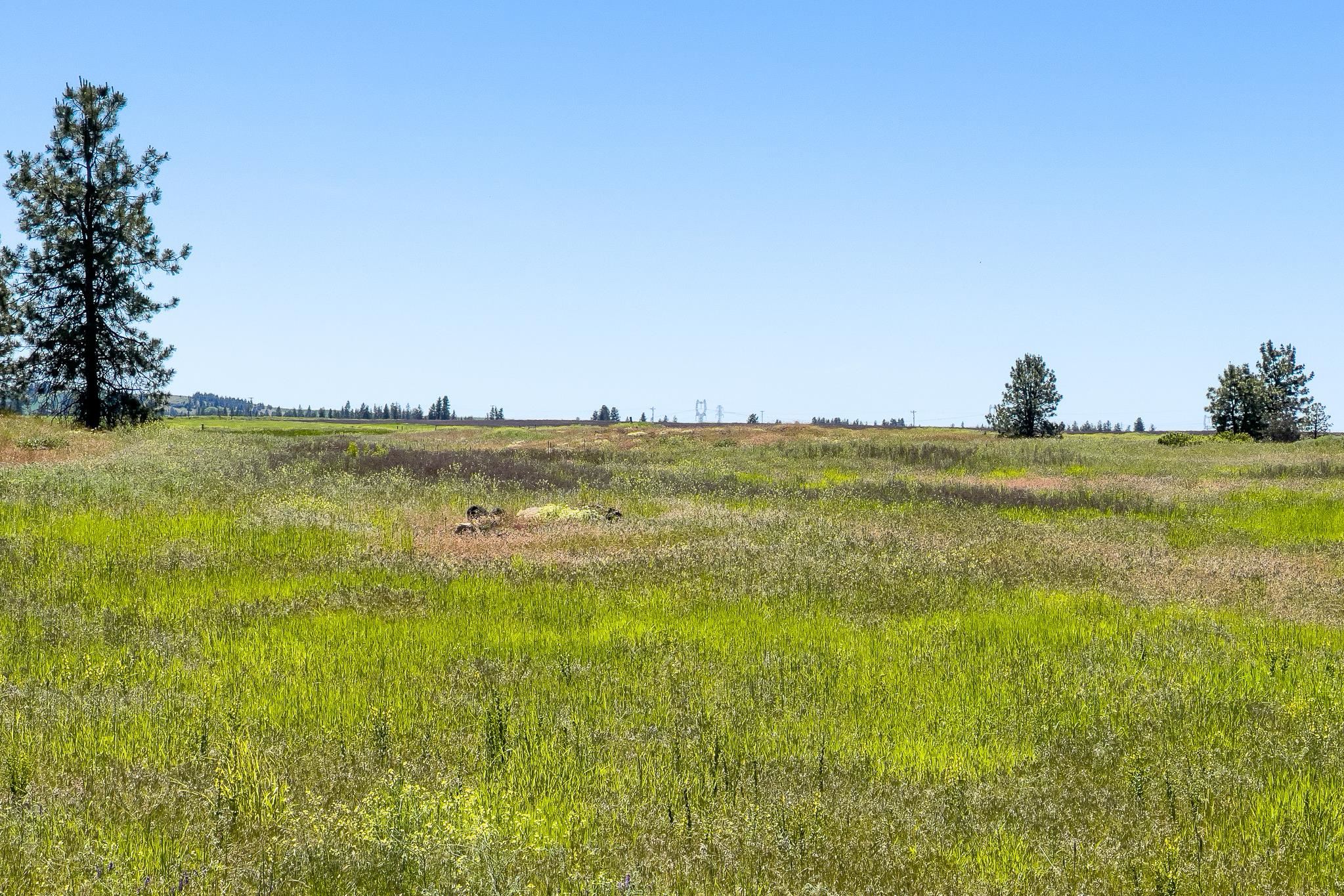 00C N Ritchey Rd - Photo 29