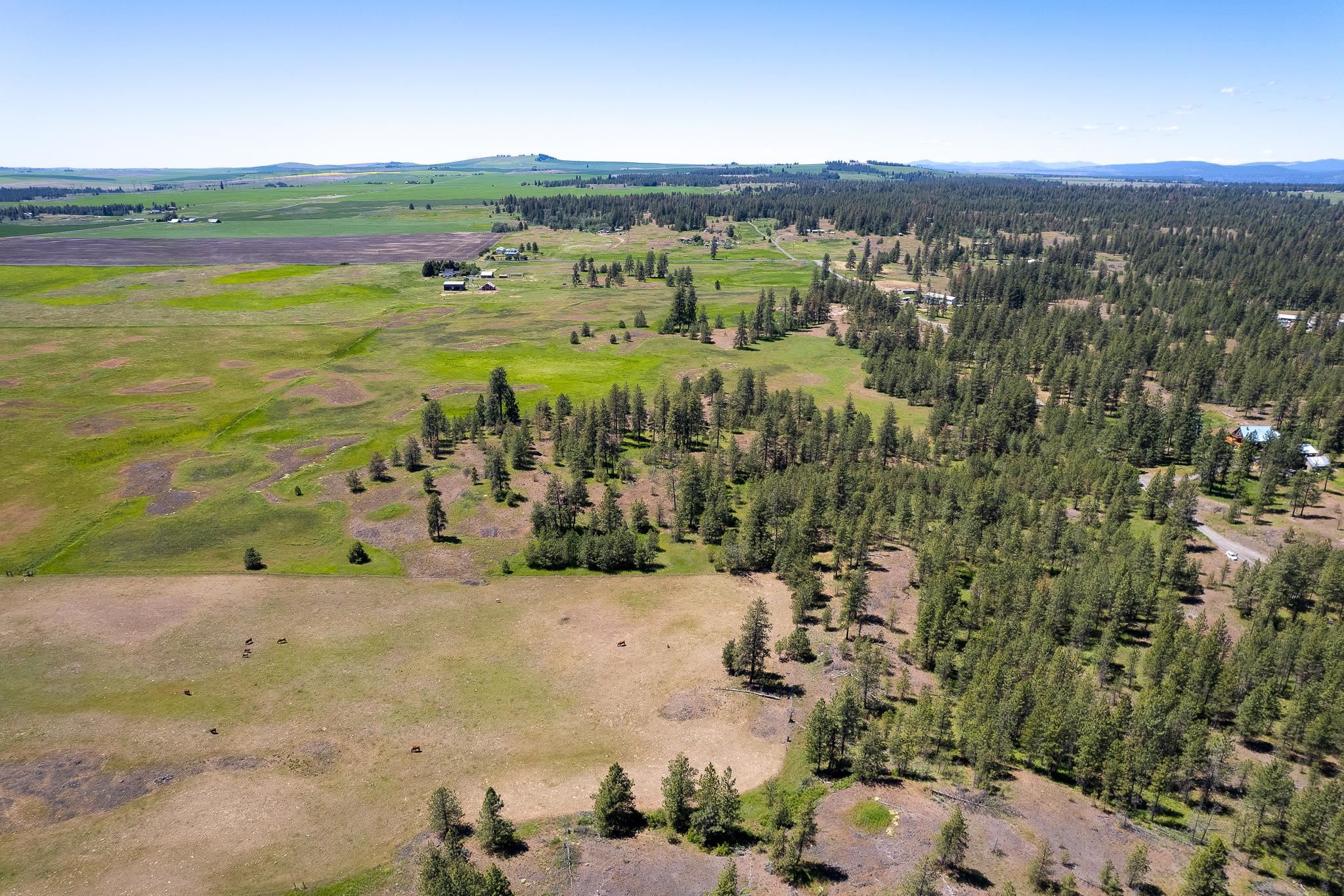 00D N Ritchey Rd - Photo 12