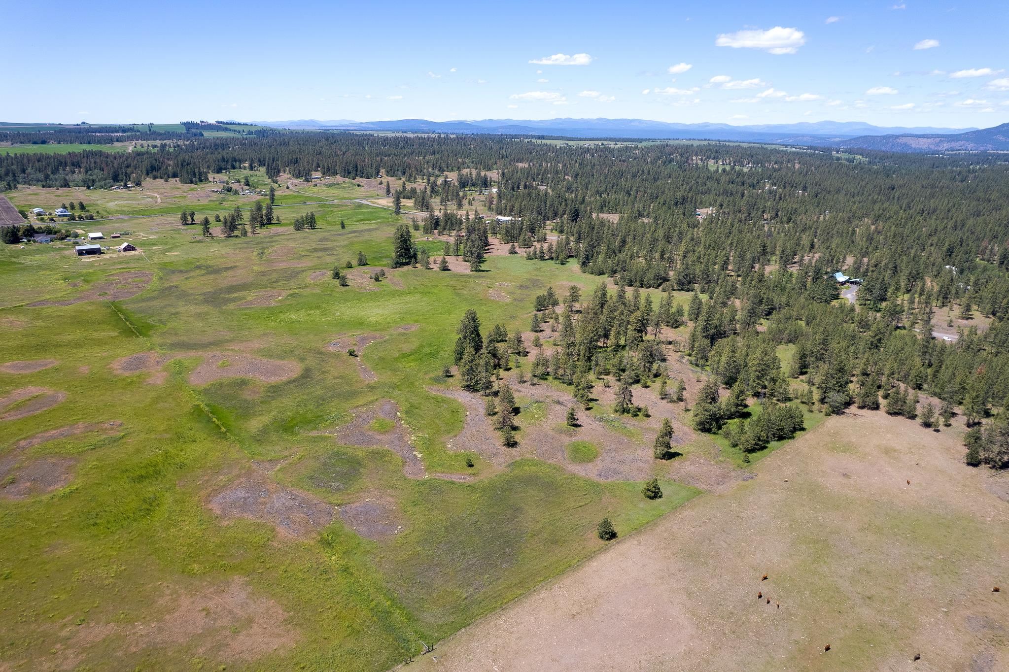00D N Ritchey Rd - Photo 14