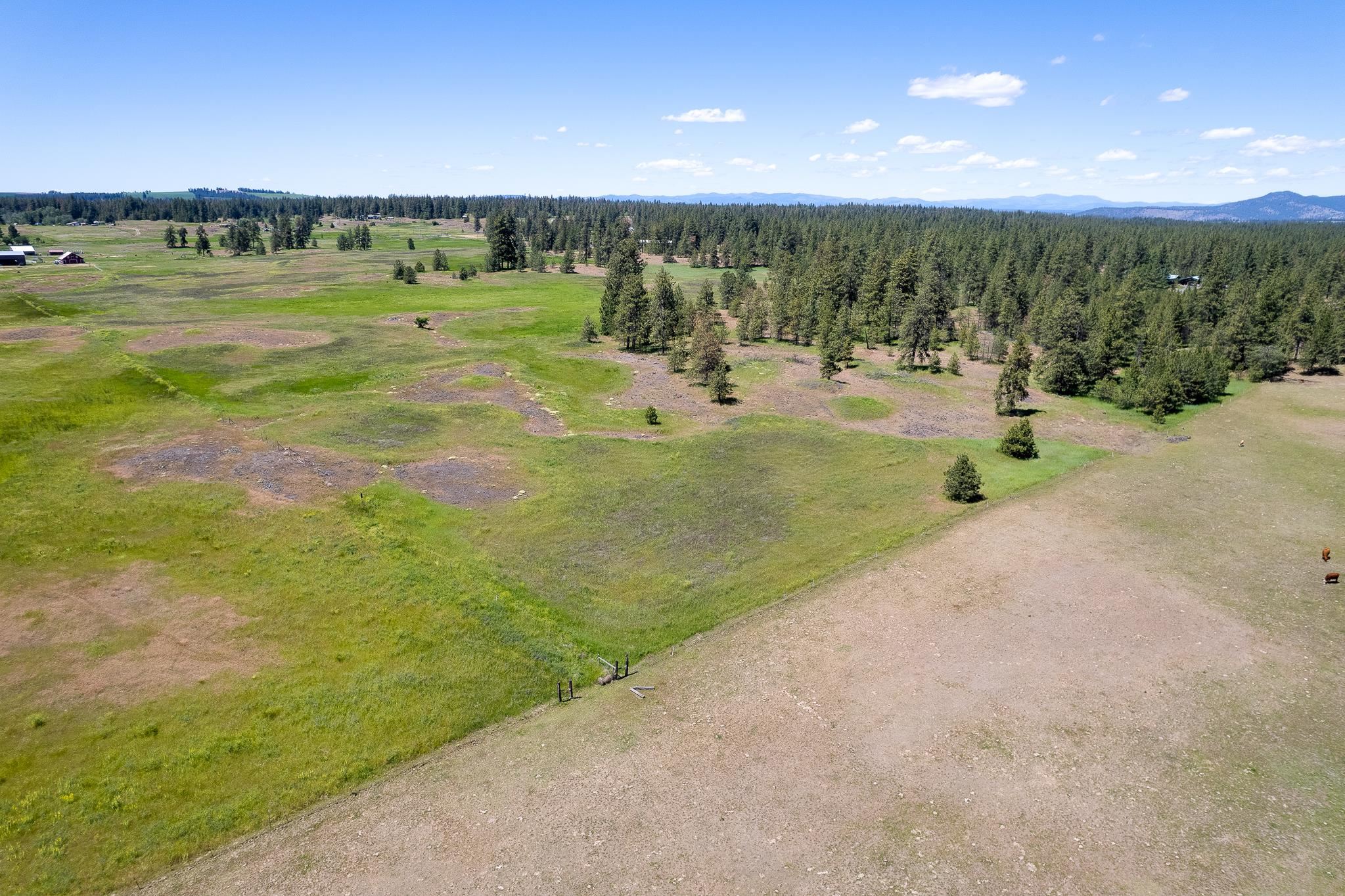 00D N Ritchey Rd - Photo 15