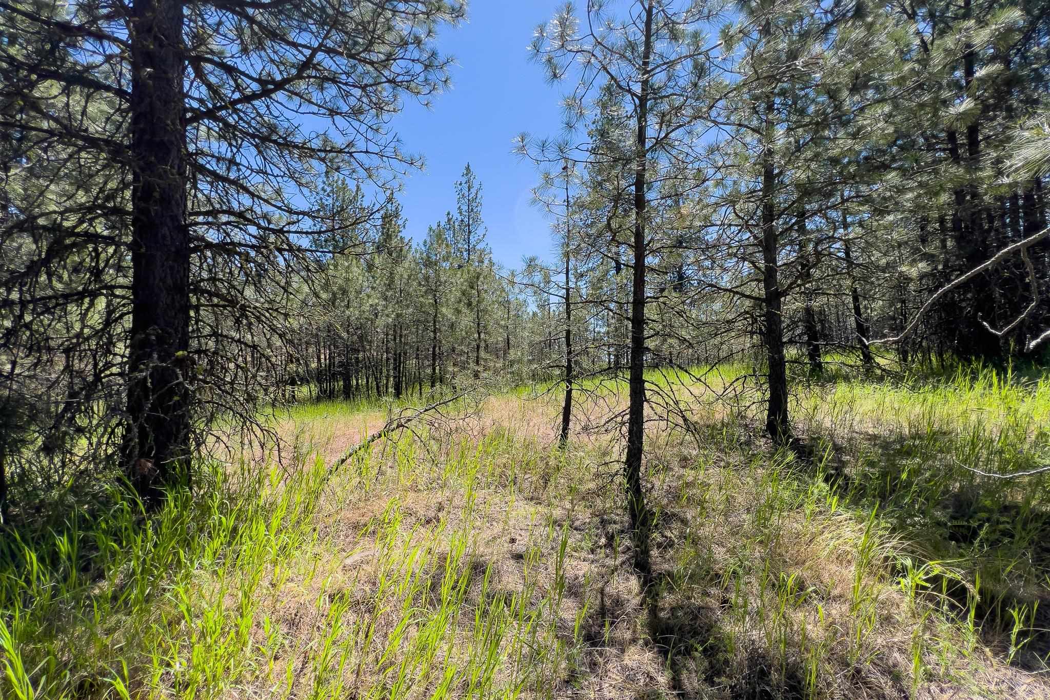 00D N Ritchey Rd - Photo 21