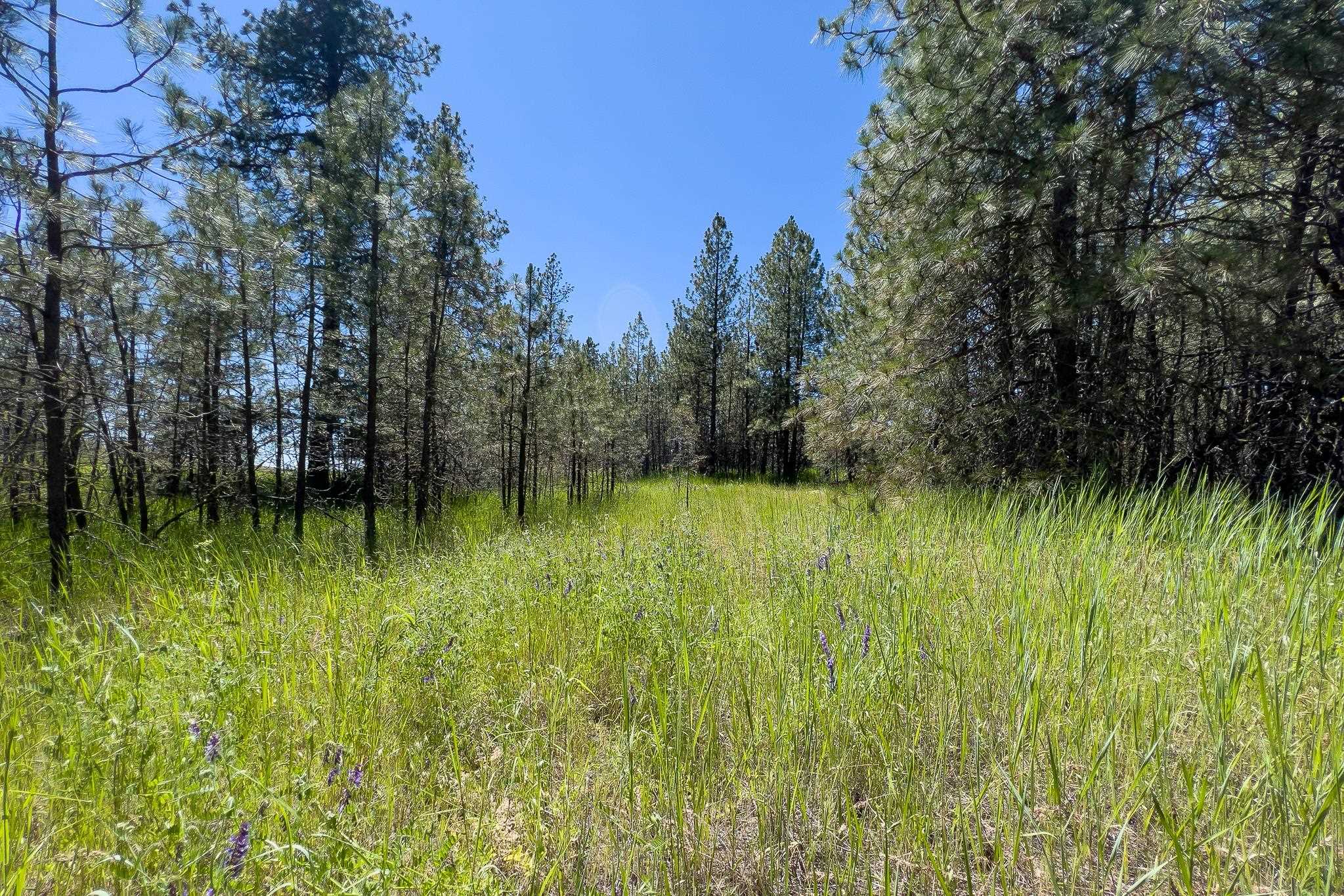 00D N Ritchey Rd - Photo 22
