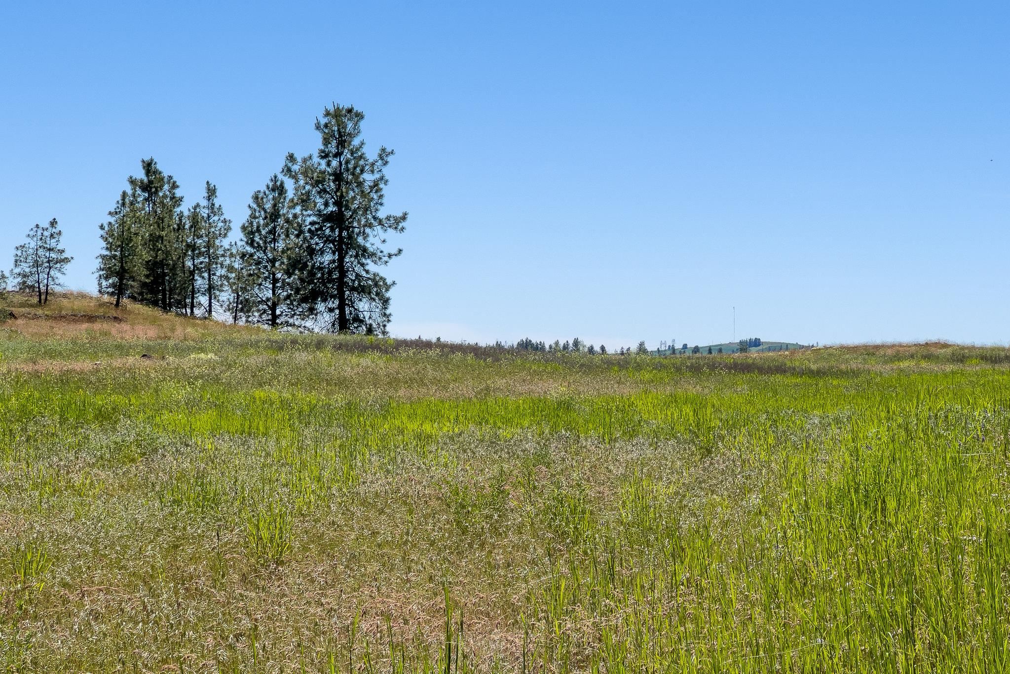 00D N Ritchey Rd - Photo 23